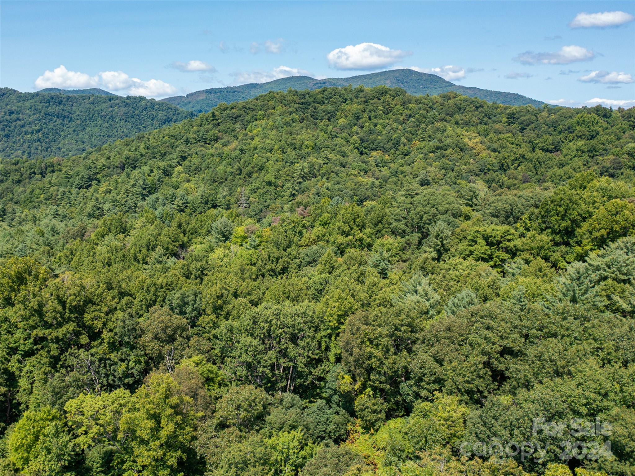 Meadow Fork Ranch - Land