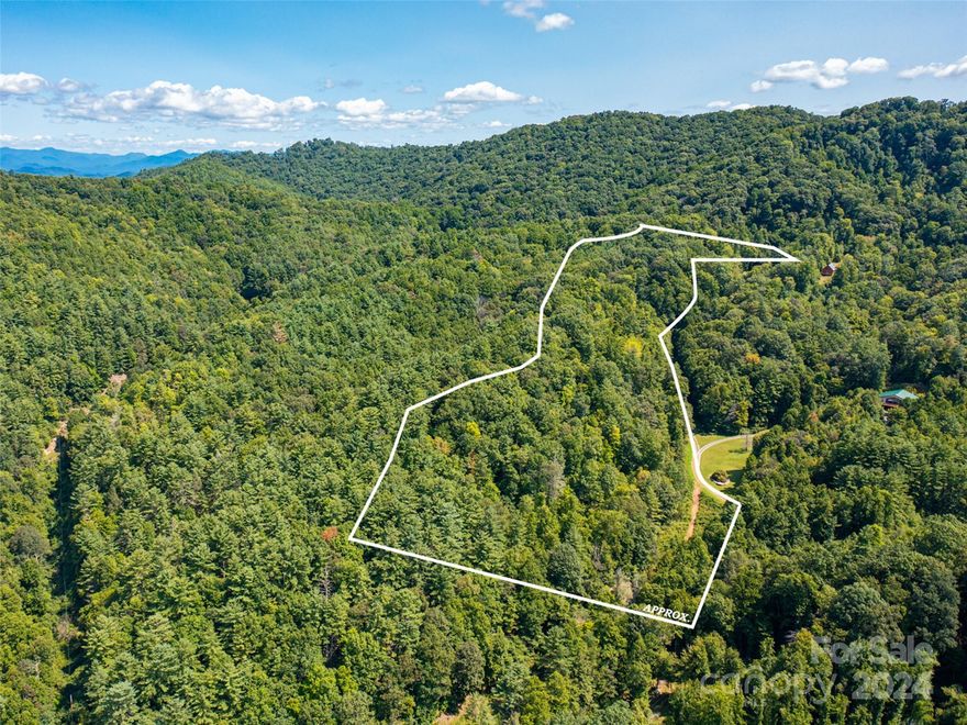 Private and buildable 12.5 acres with two possible homesites nestled in the beautiful Spring Creek community near Pisgah National Forest. A picture-perfect scenic drive leads you right to this piece of paradise. What's even better? The convenience of underground utilities and the roads already cut in with two perfect spots to choose from to build your dream home. And let's not forget about the perks of living here – Hiking, fishing, and wildlife galore, right at your fingertips. Don't miss out on this incredible opportunity!