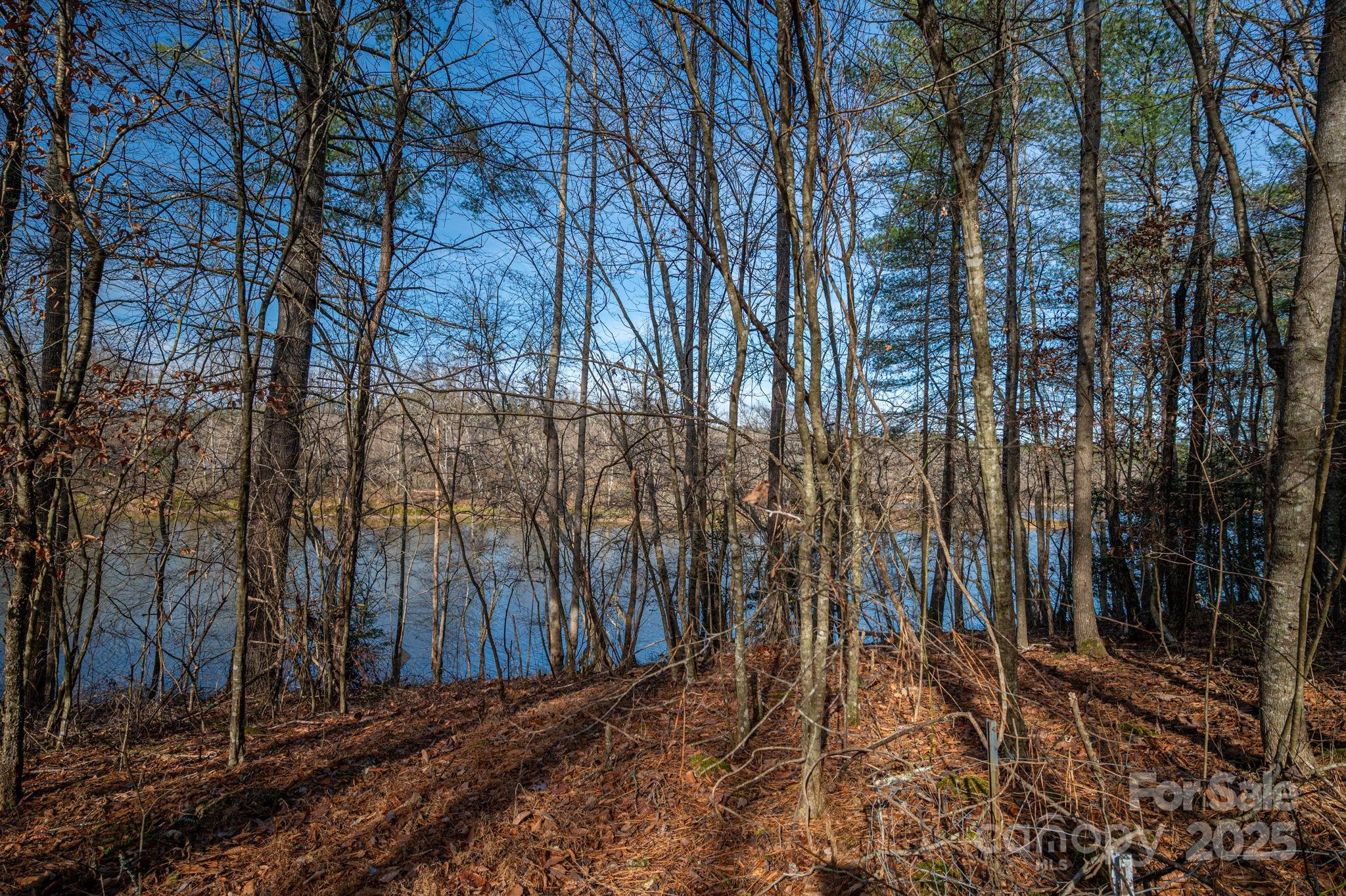 Lake Rhodhiss Estates - Land