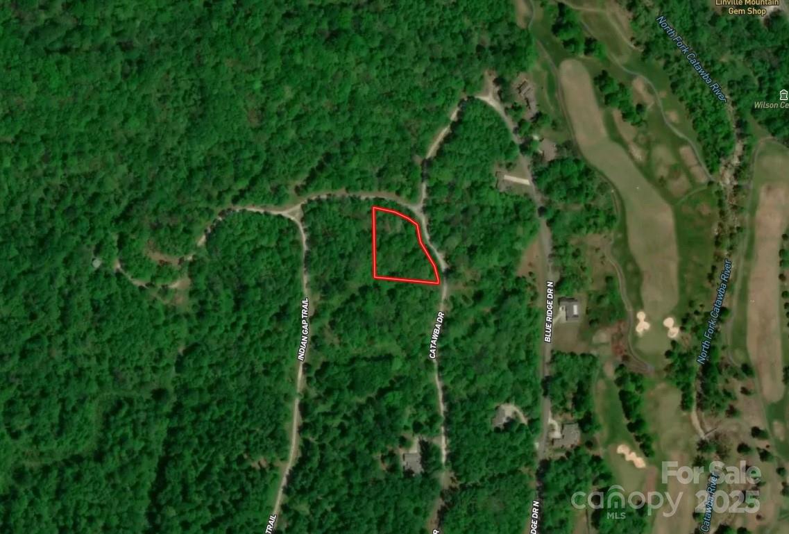 Lot 221 US 221 Highway