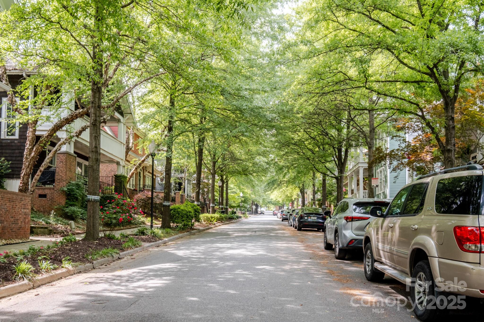 First Ward - Residential