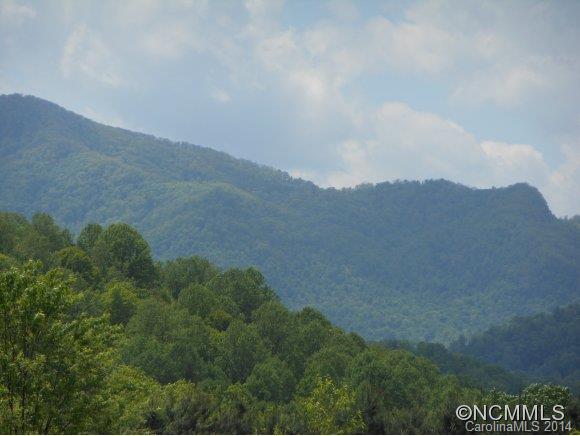 Fines Creek Ridge - Residential