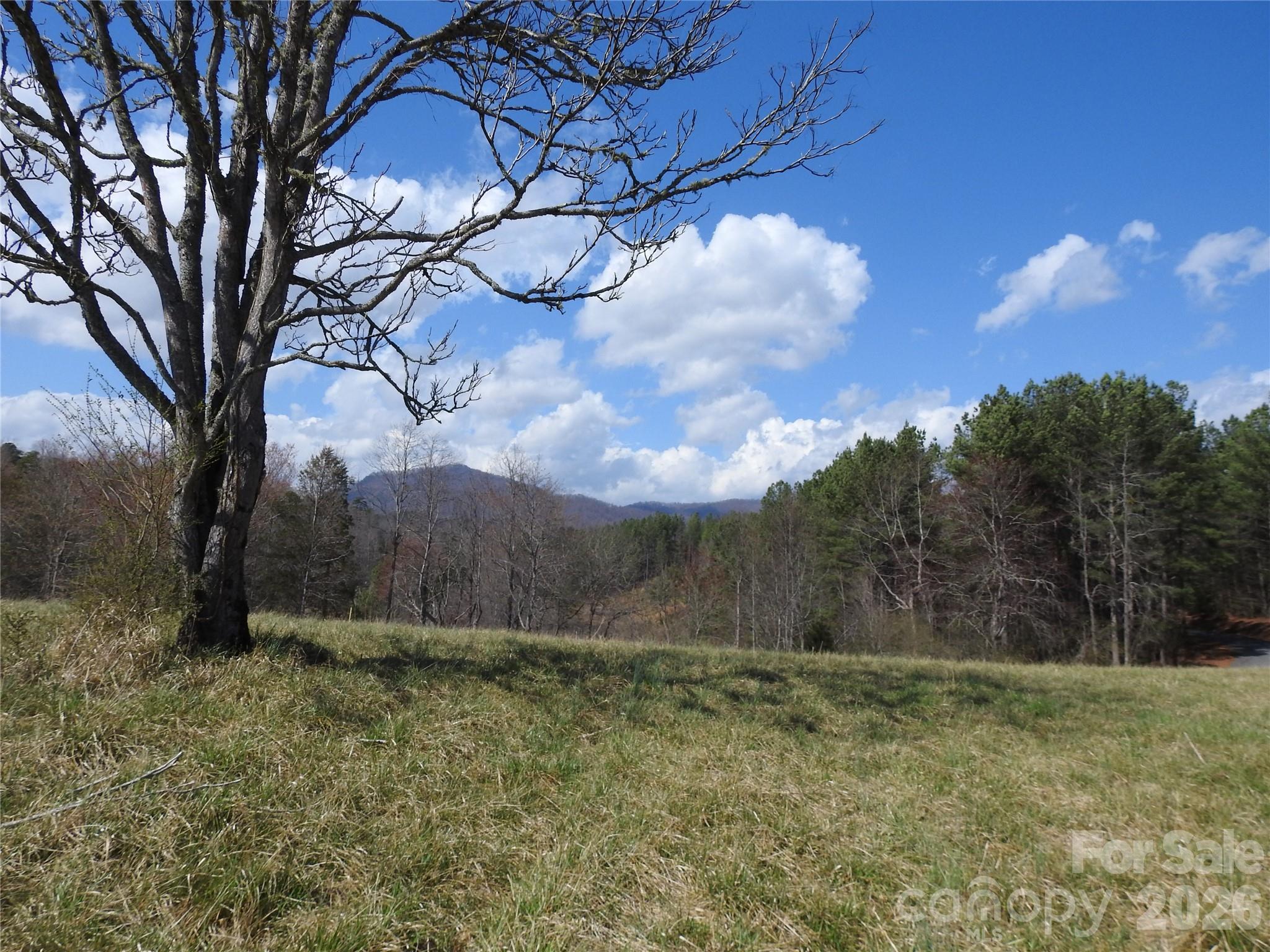 00 Laurel Lakes Parkway Lot 1