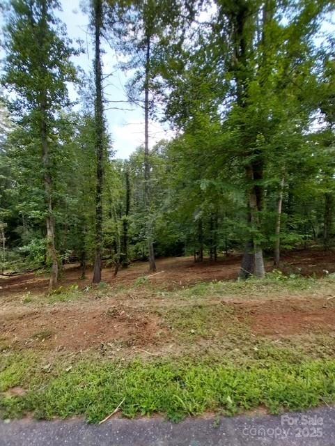 Lake Rhodhiss Estates - Land