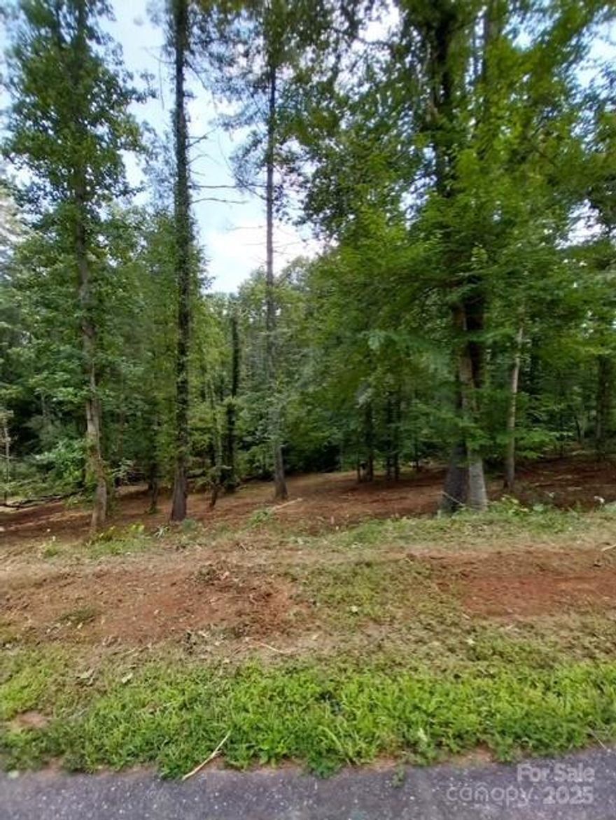 This remarkable 1.31-acre property, Lots 244 and 245 being sold together serves as the ideal foundation for designing your dream home, complete with the ease of county water and sewer access. Once you pass through the gate, a scenic drive unfolds before you, featuring smooth roads that meander past vibrant flower gardens and a charming gazebo, leading you to the iconic Overlook Pavilion. Here, the breathtaking views stretch endlessly over the shimmering lake, majestic mountains, In addition to the breathtaking views, the community boasts exclusive amenities such as a private entrance to a tranquil area featuring eight boat slips, a secluded dock, a charming fire pit, and a designated spot for your paddle gear, making every day feel like a getaway. Don’t miss out on this extraordinary opportunity! RECENTLY SEMI-CLEARED FOR EASY WALKING ACCESS.