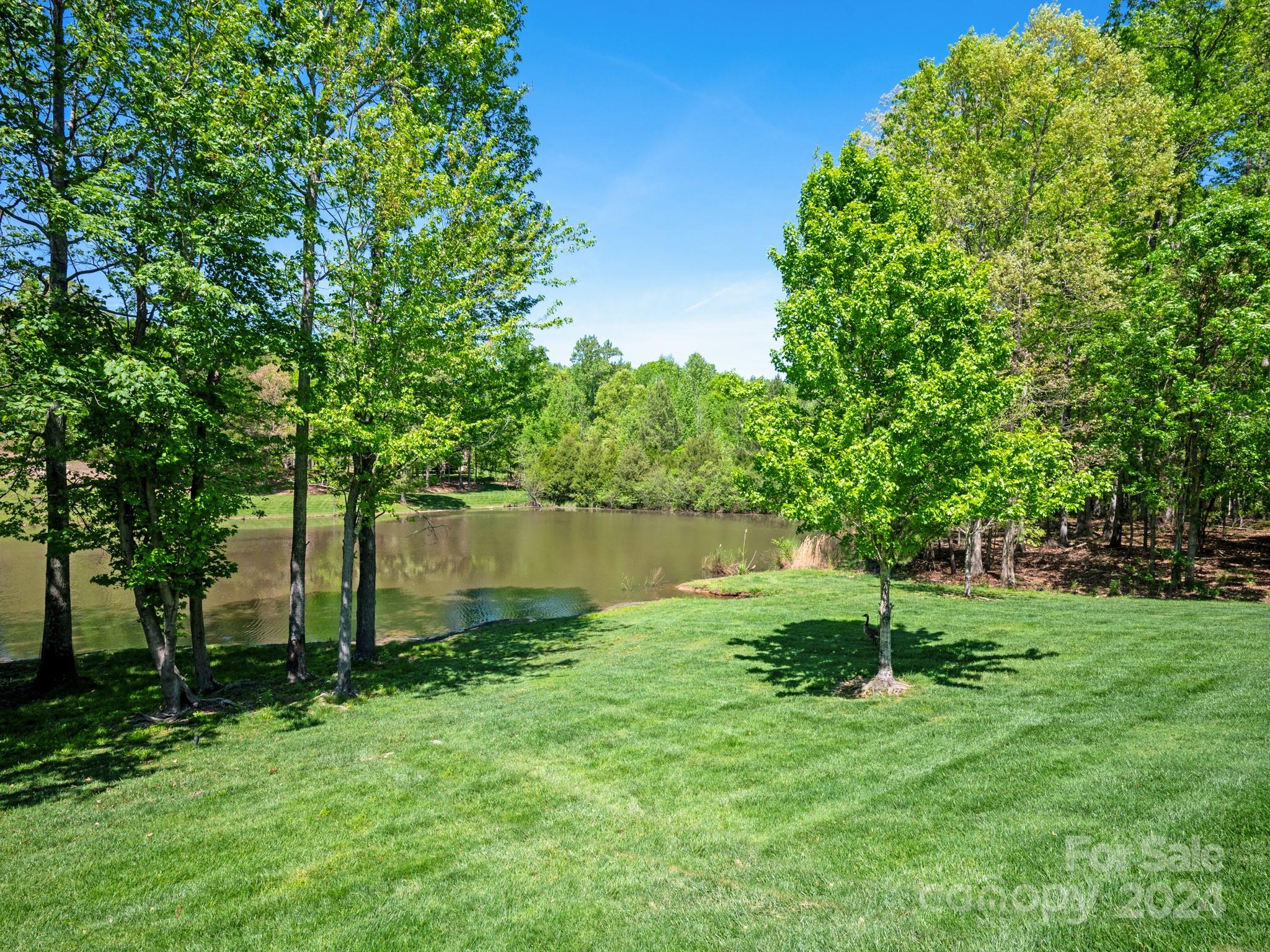 Sedgefield - Residential