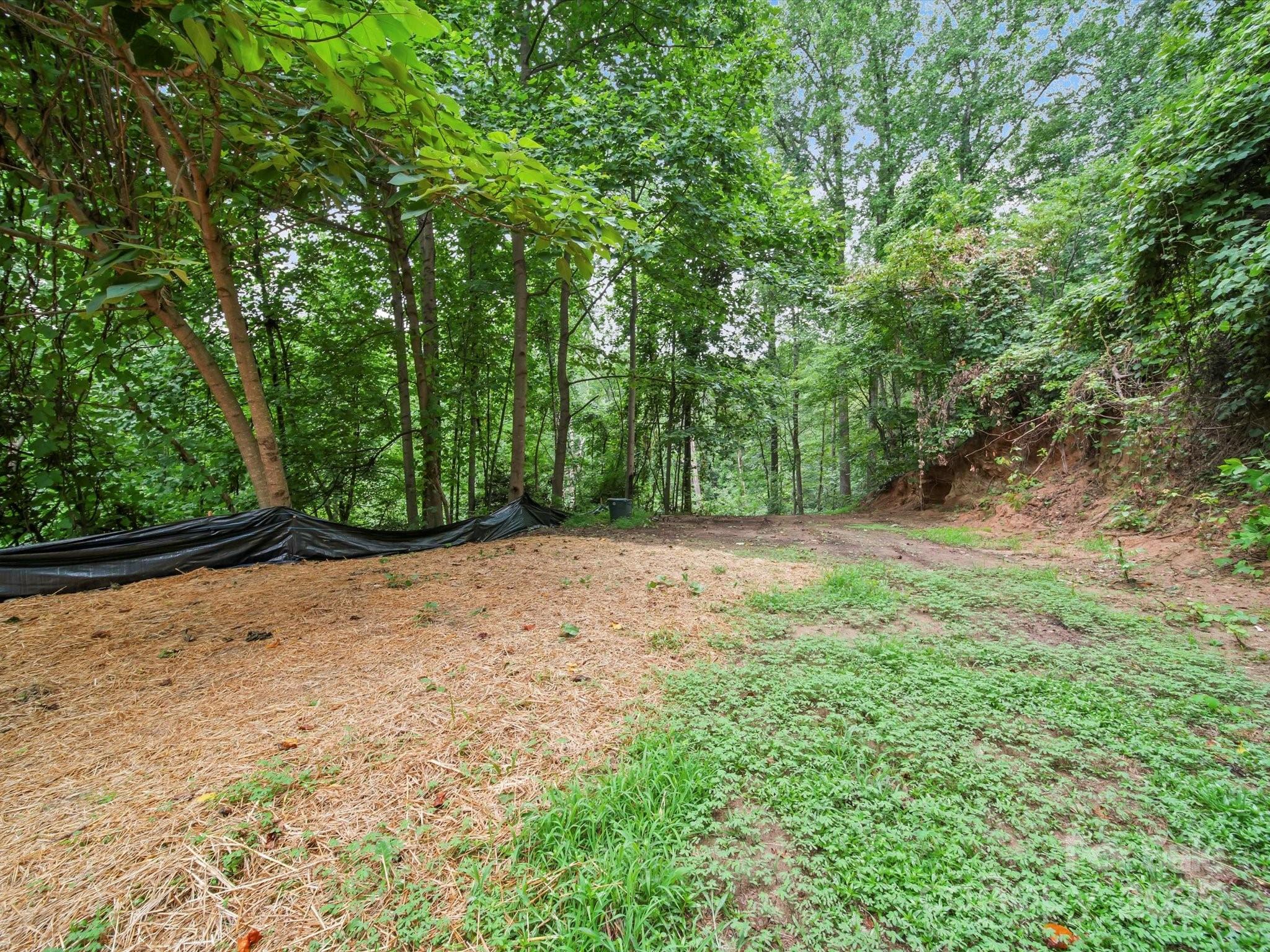 629 Vineyard Road