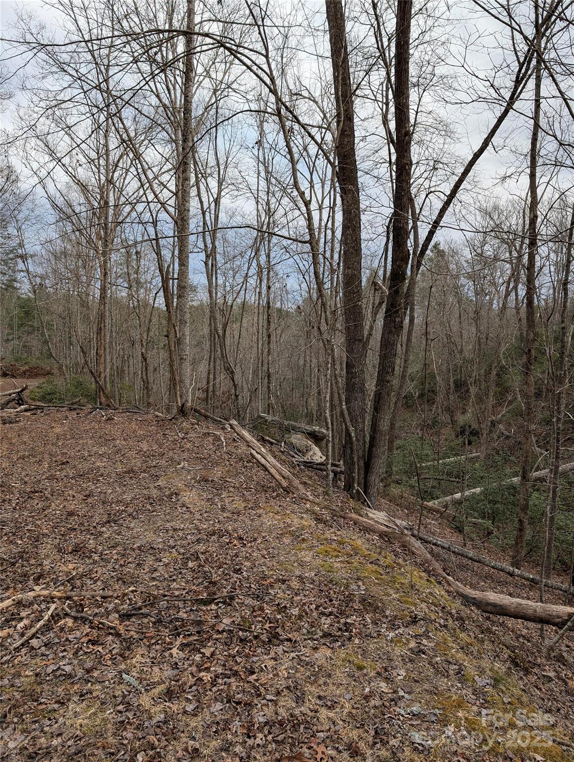 0 SE Old Crows Drive L389, L390