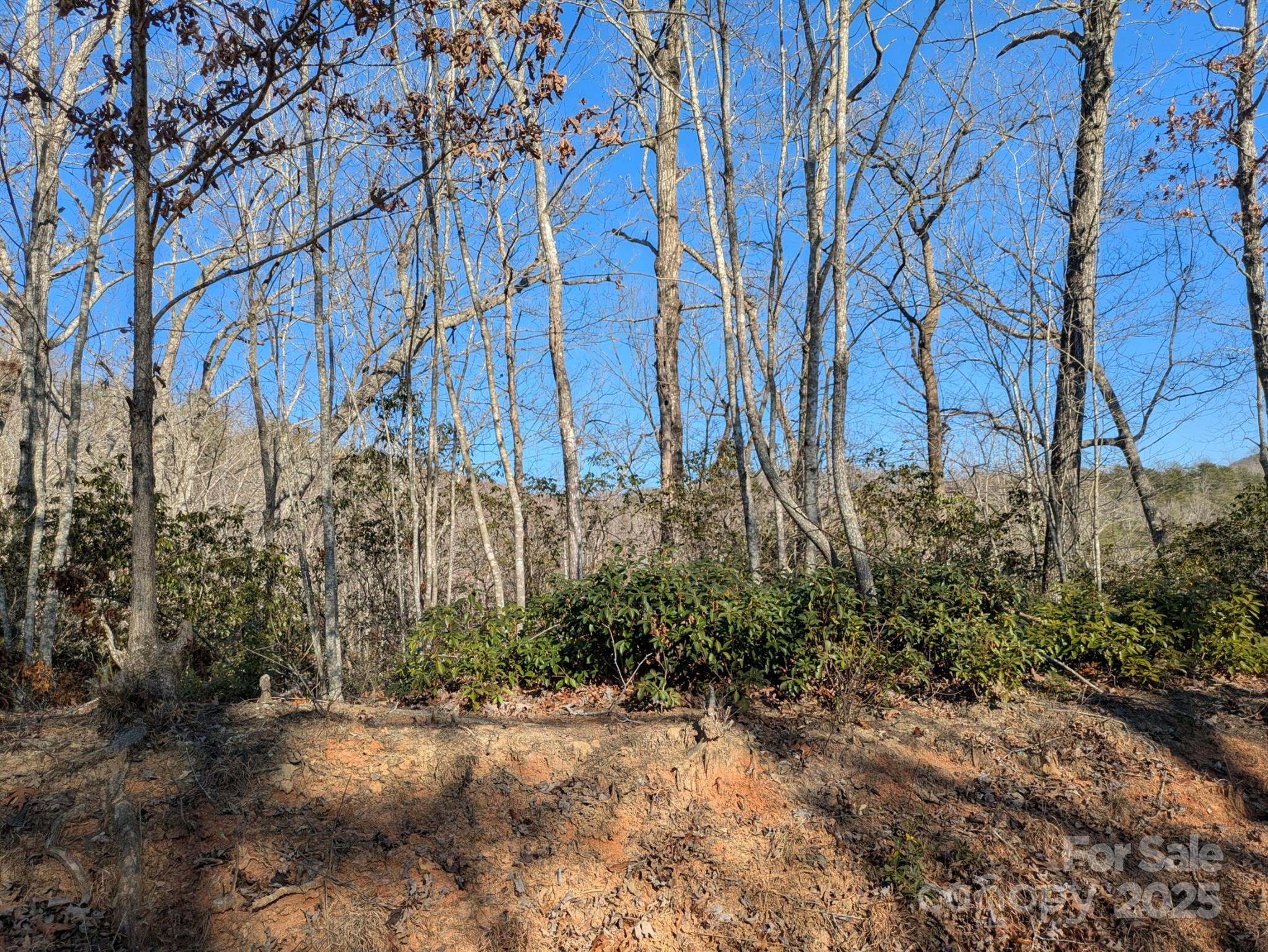 0 SE Old Crows Drive L389, L390