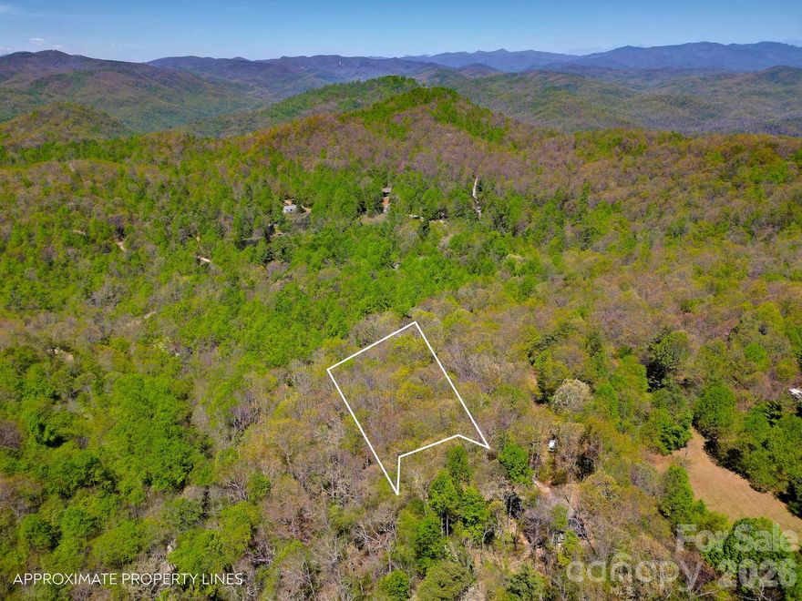 Tucked away in the Black Mountain area, this .56-acre lot offers a quiet, private setting ideal for those looking to get away from the noise and build something truly their own. Surrounded by natural beauty, this buildable homesite provides the perfect opportunity for a primary residence or mountain retreat focused on peace and seclusion. While it feels private and removed, you’re still within a quick drive to both Lake Lure and Asheville. If you’ve been searching for a spot to unplug, spread out, and enjoy the slower pace of mountain living, this property is worth a look.