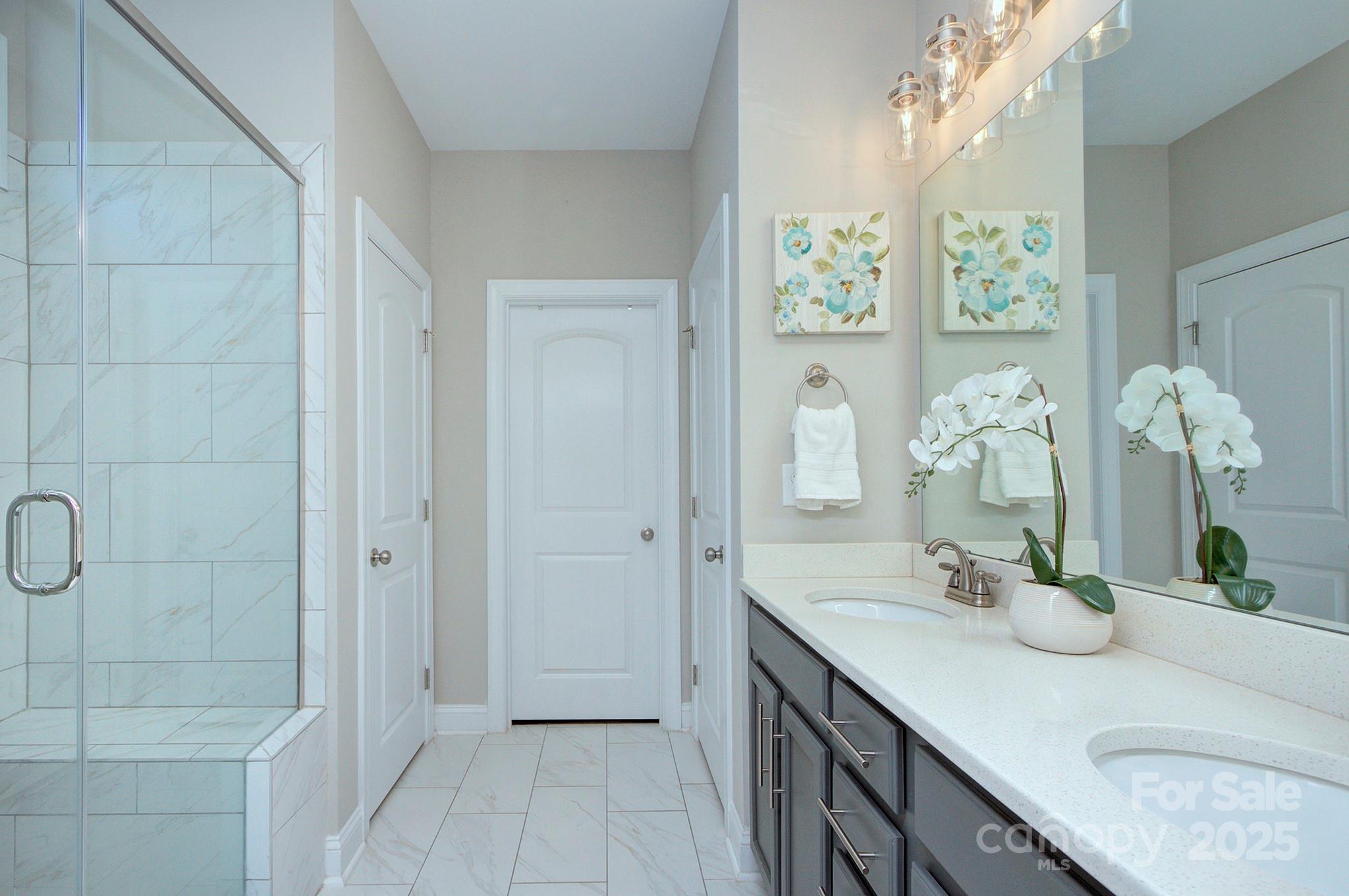 Springview at Bailes Ridge - Residential