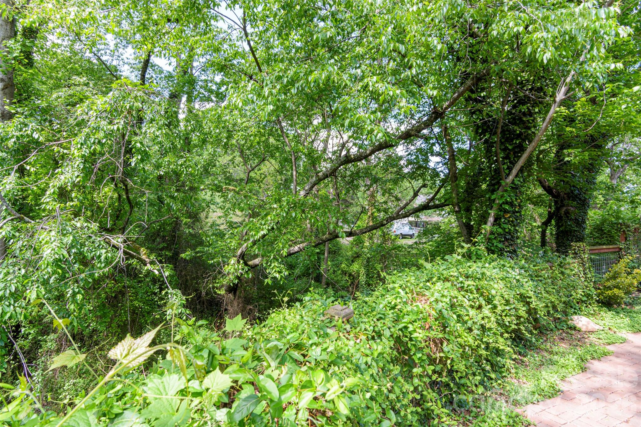 West Asheville - Residential