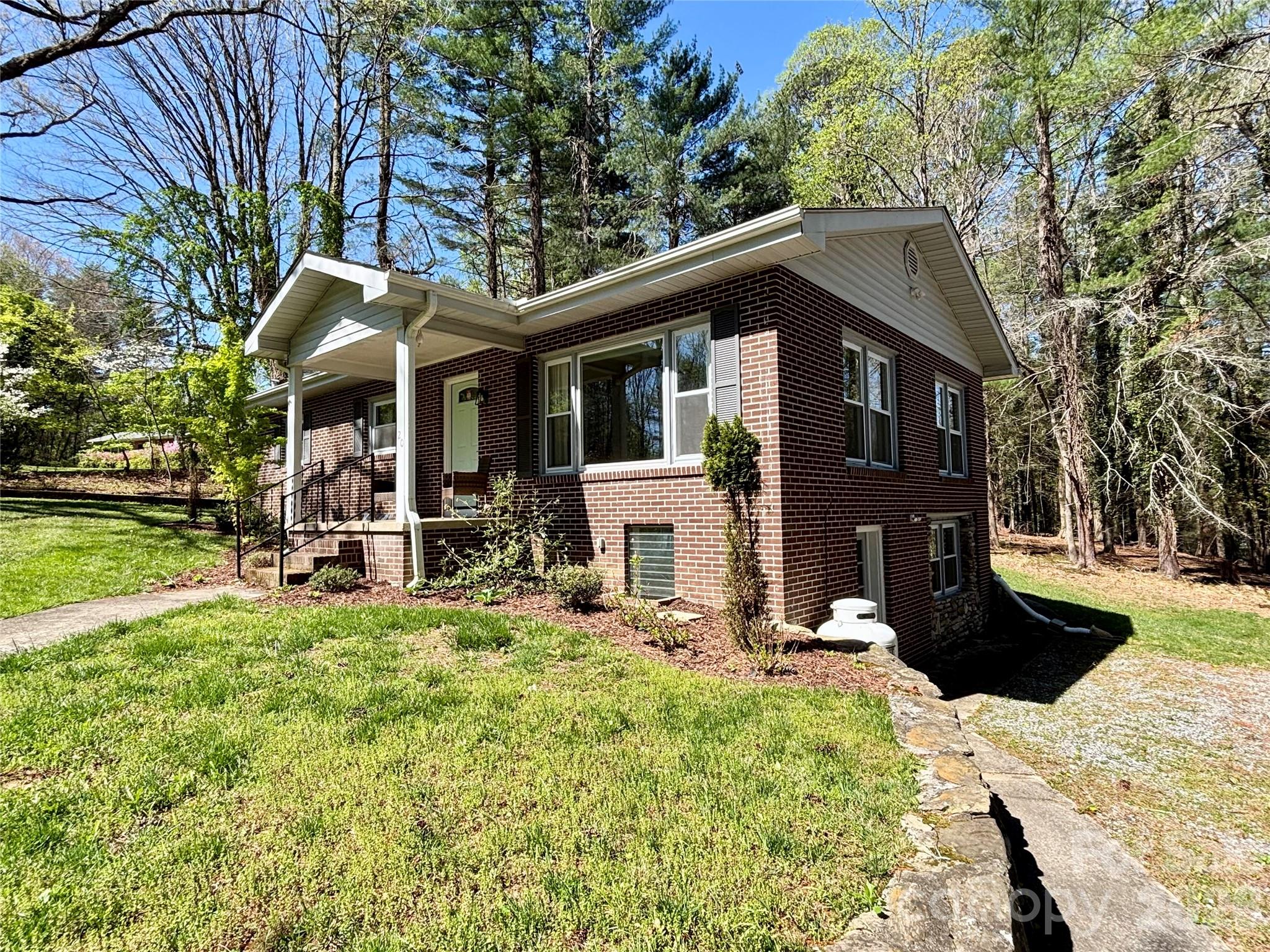 20 White Squirrel Lane