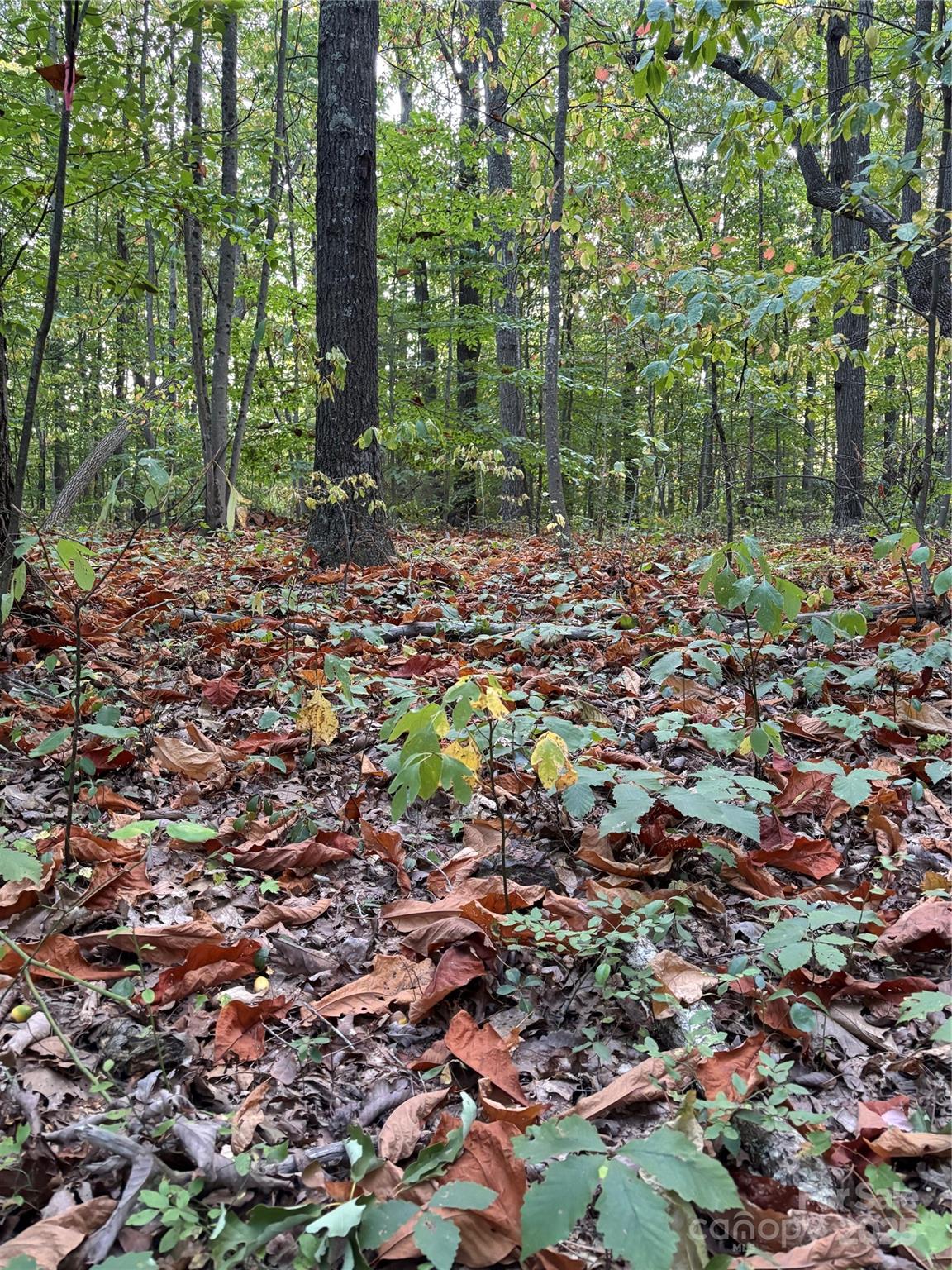 9999 Oak Ridge Road