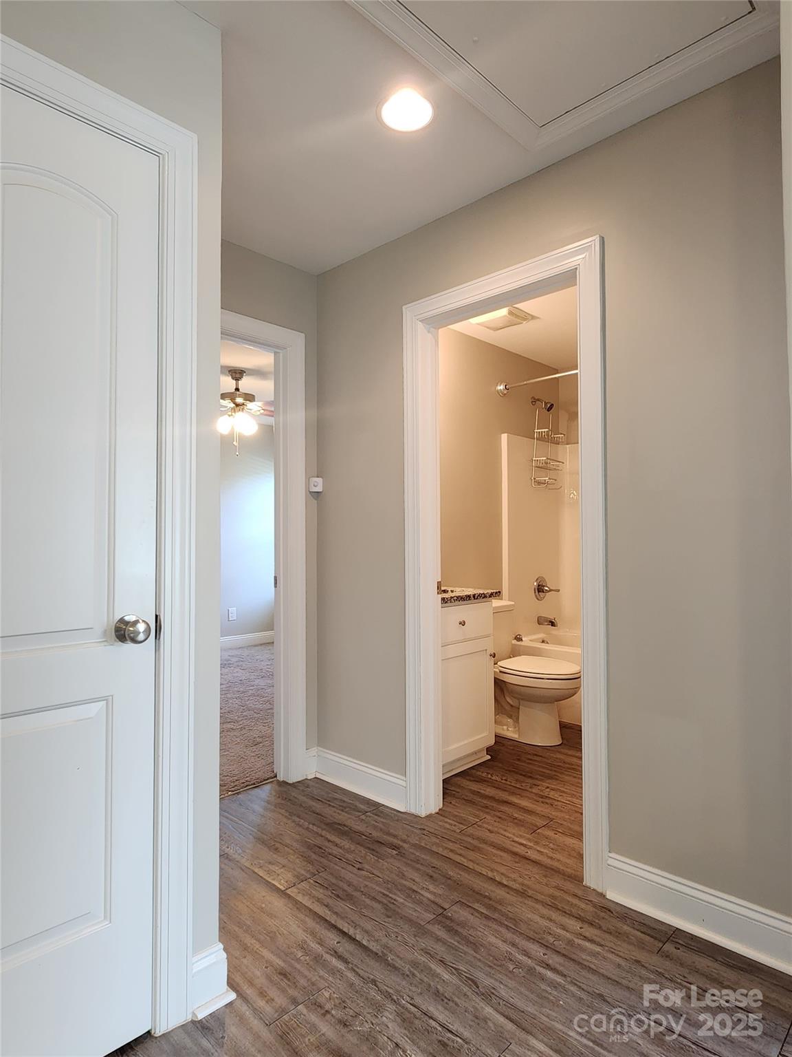 None - Residential Lease