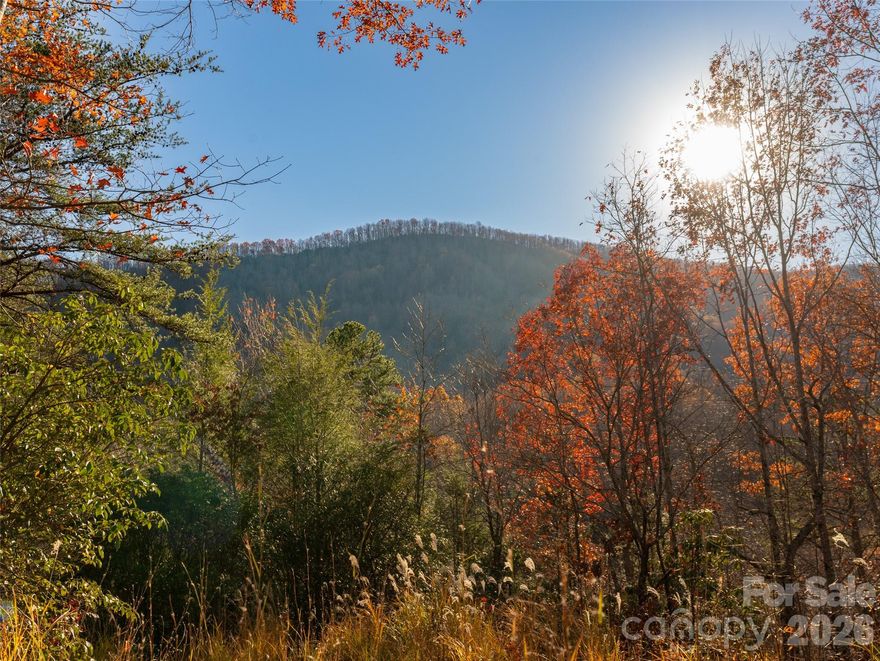 Majestic mountain building lot primed for your imagination! Introducing 263 Nuthatch Ln in the serene and luxurious community of Creston. This 2.46-acre tract features a gentle knoll in the center of the property that makes for the perfectly private homesite. Views from the homesite open up to a wide swath of the neighboring mountains. This property sits just inside the rear service gate to the community which provides easy access. Embedded in a mature forest of oak, pine, and mountain laurel, this property has a glorious mountain feel while sitting at a lower elevation than much of the surrounding area. Envision yourself sitting with a cup of coffee and listening to the stream running just below, or watching birds soar through the valley from your rear deck. This property is sure to take your breath away! 3-bedroom septic permit approved. 20 minutes to downtown Black Mountain, 35 minutes to Asheville.