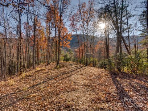 263 Nuthatch Lane Black Mountain NC 28711