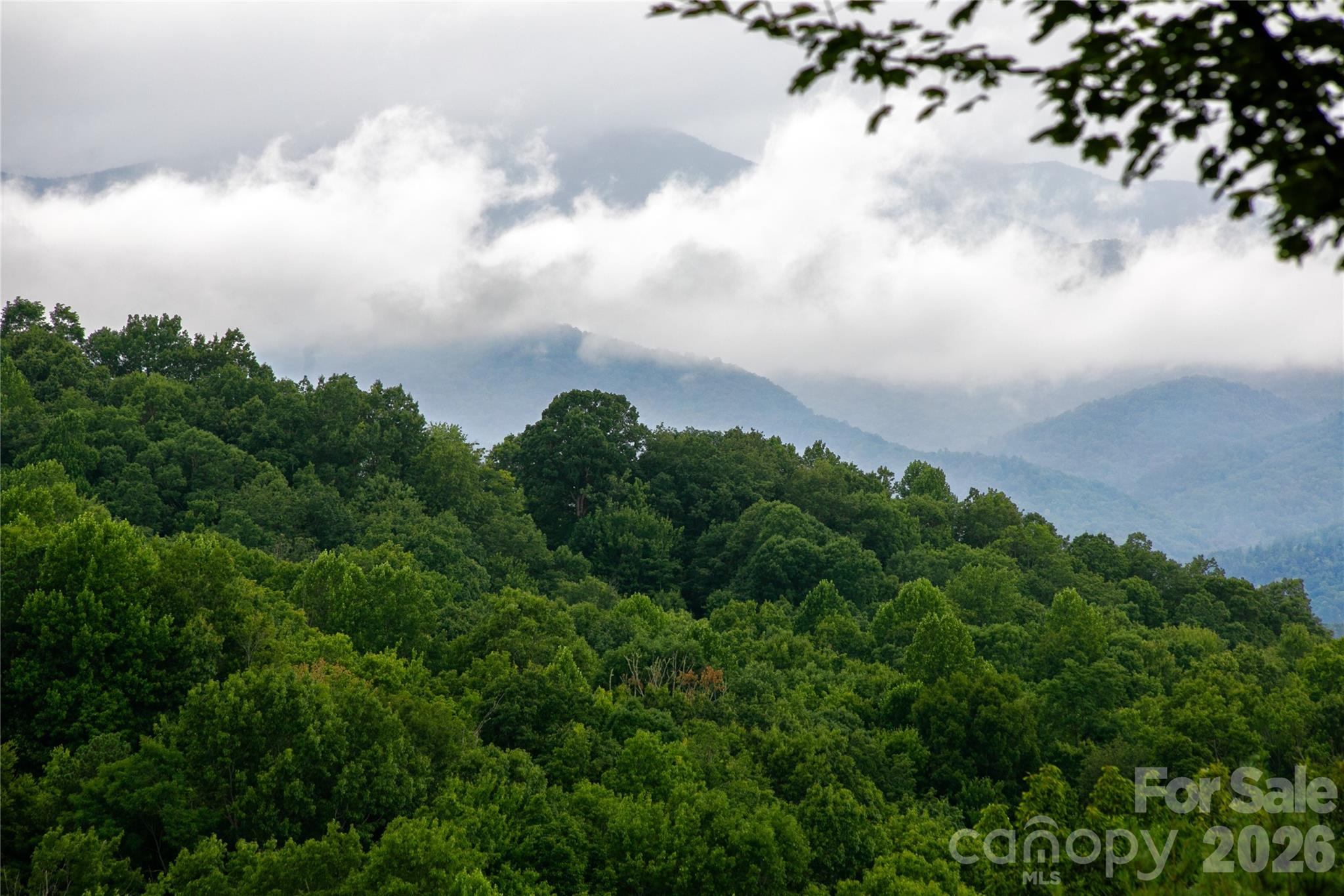 264 Tinequa Drive, Brevard, NC, 28712
