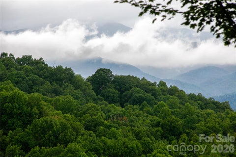 Photo of 264 Tinequa Drive, Brevard, NC 28712 (MLS # 4403505)