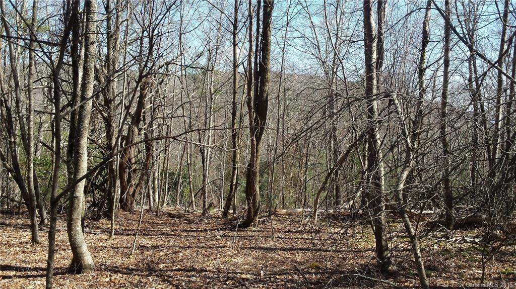 Fairview Forest - Land