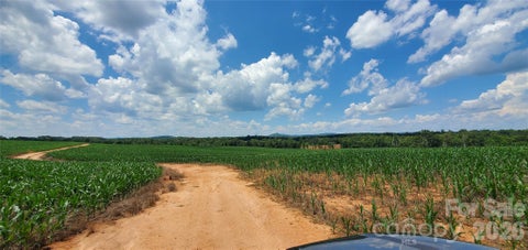 Photo of 3641 US Highway 21 Highway, Hamptonville, NC 27020 (MLS # 4421965)