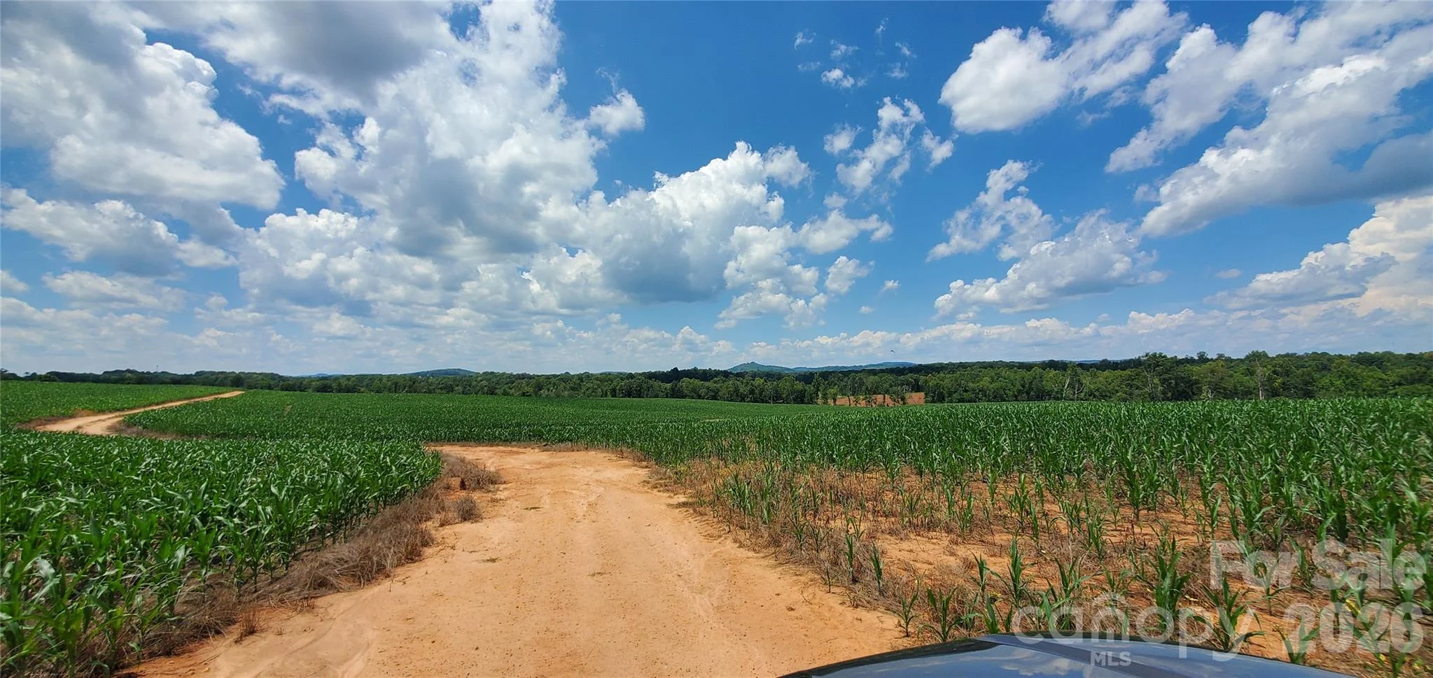 3641 Us Highway 21 Highway, Hamptonville, NC, 27020