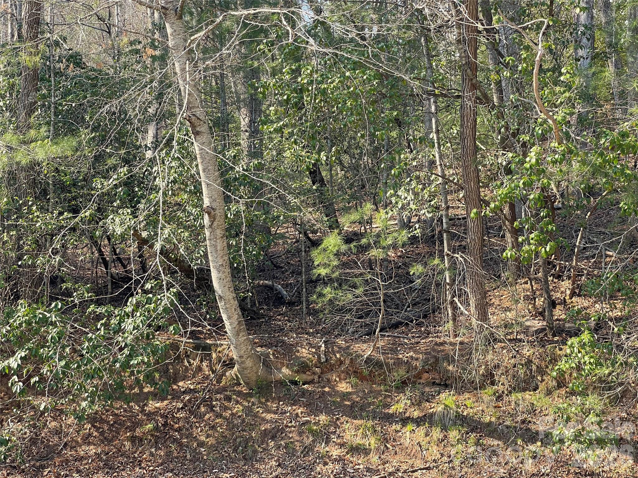 Deerlake Village - Land