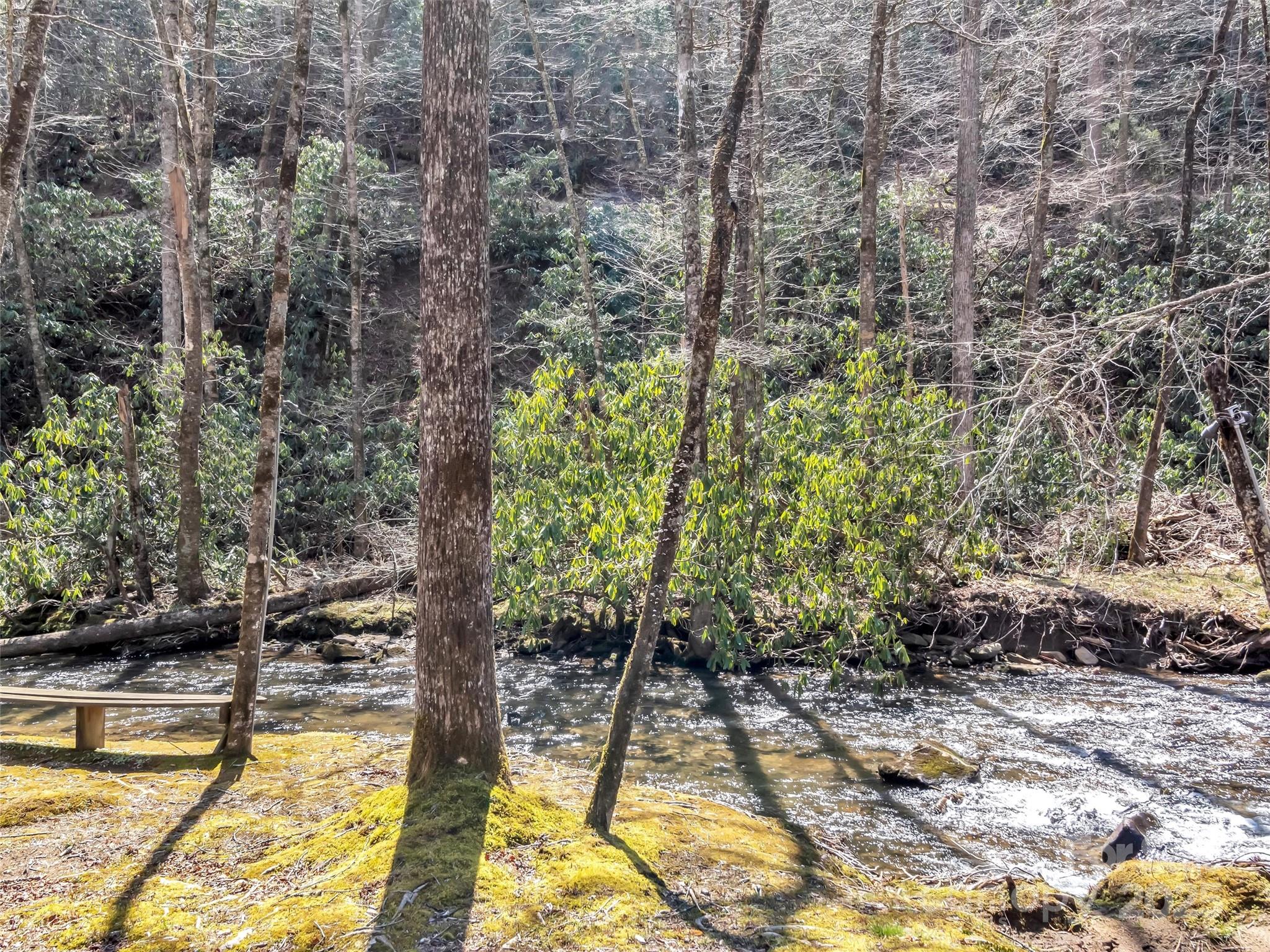 Snowbird - Residential