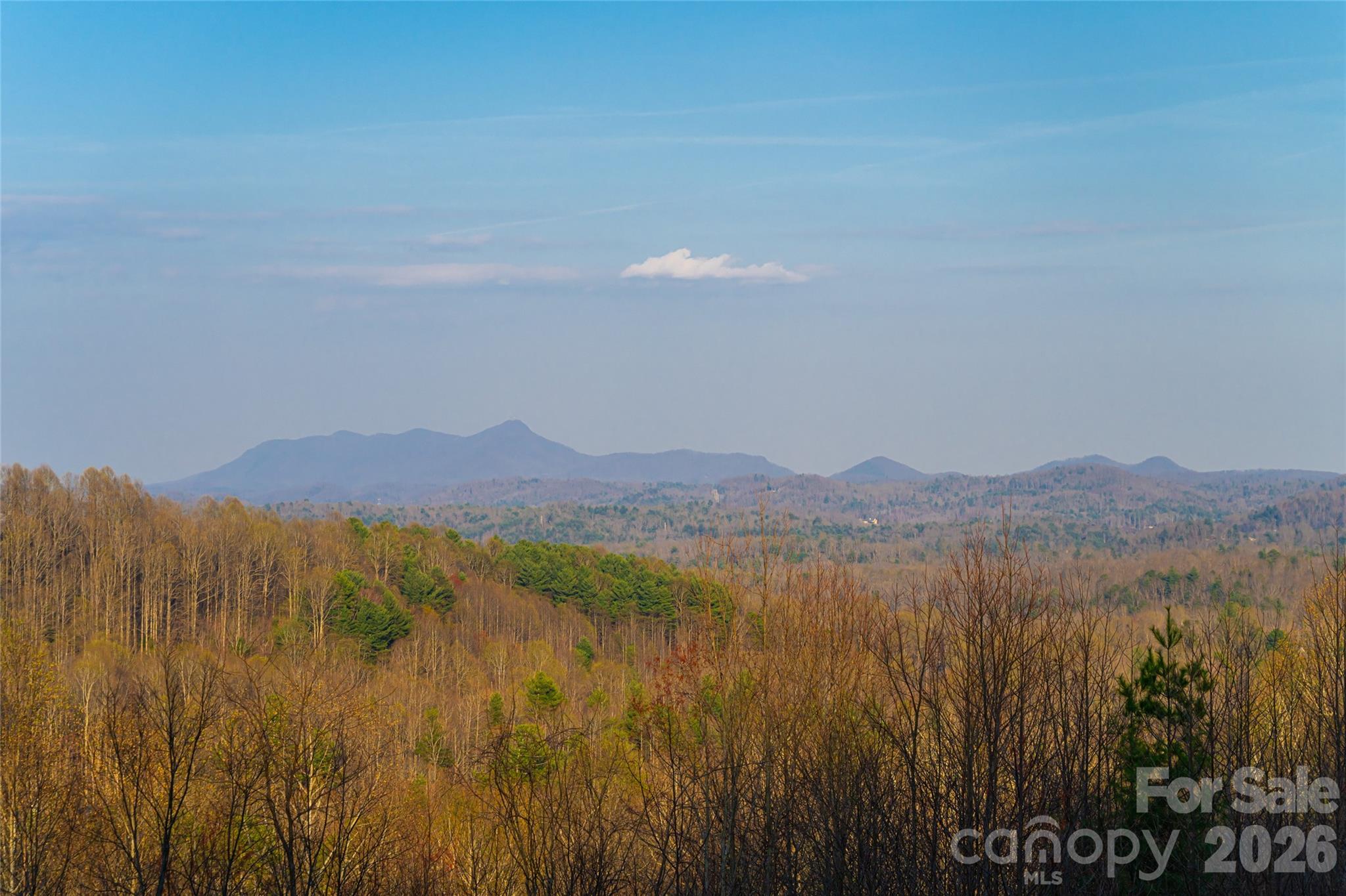 Cobblestone Village - Residential