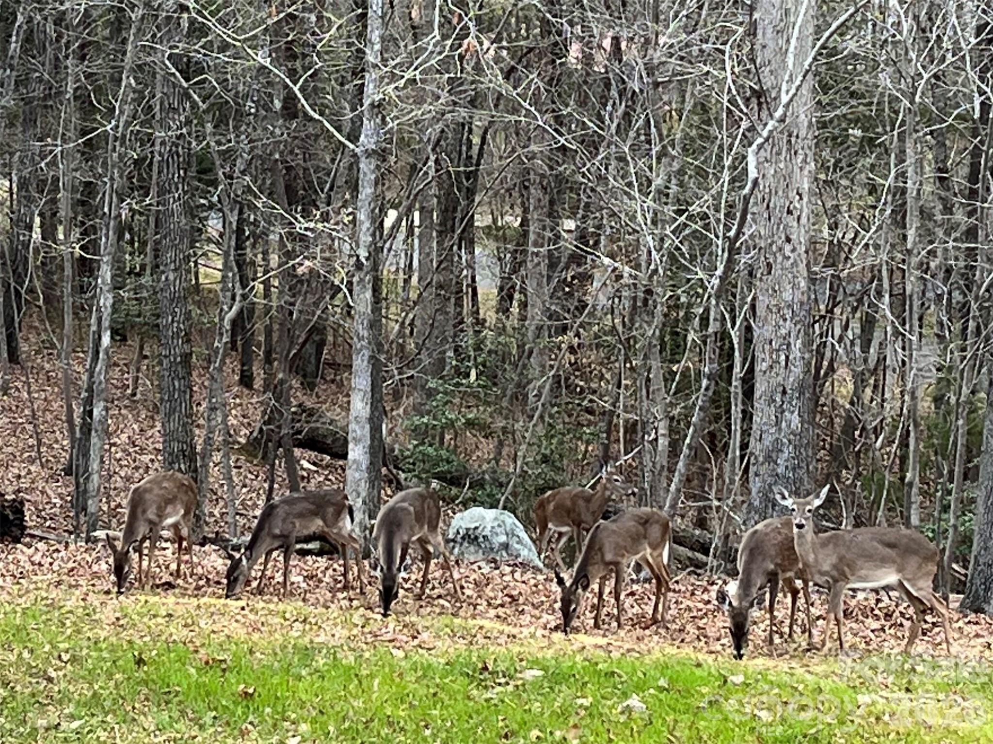 Carolina Forest - Residential