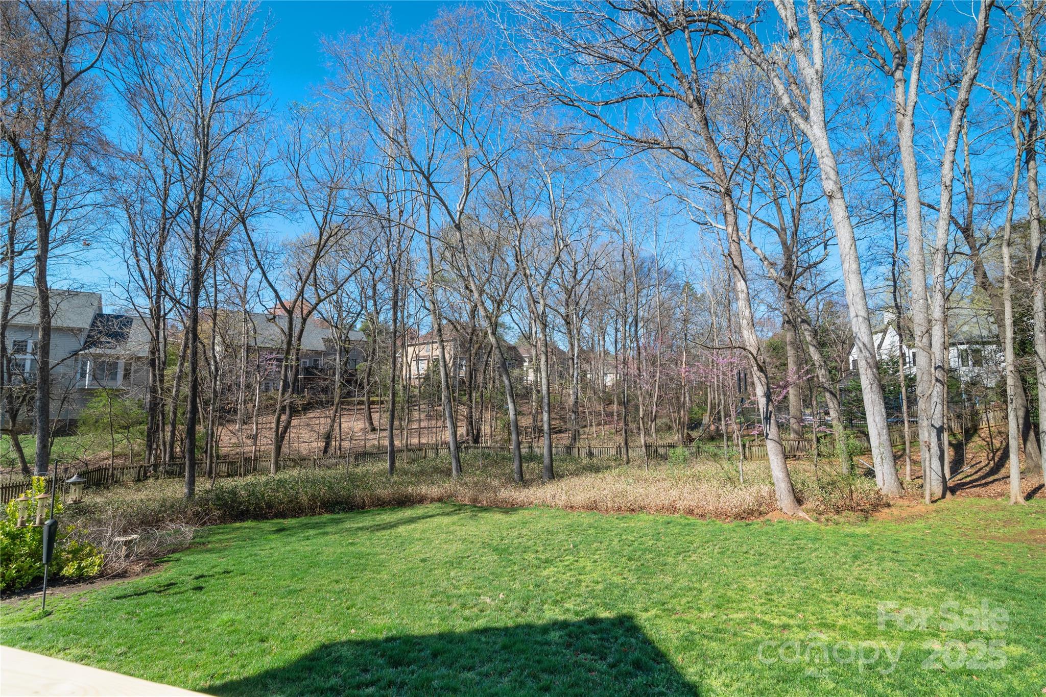 Cameron Wood - Residential