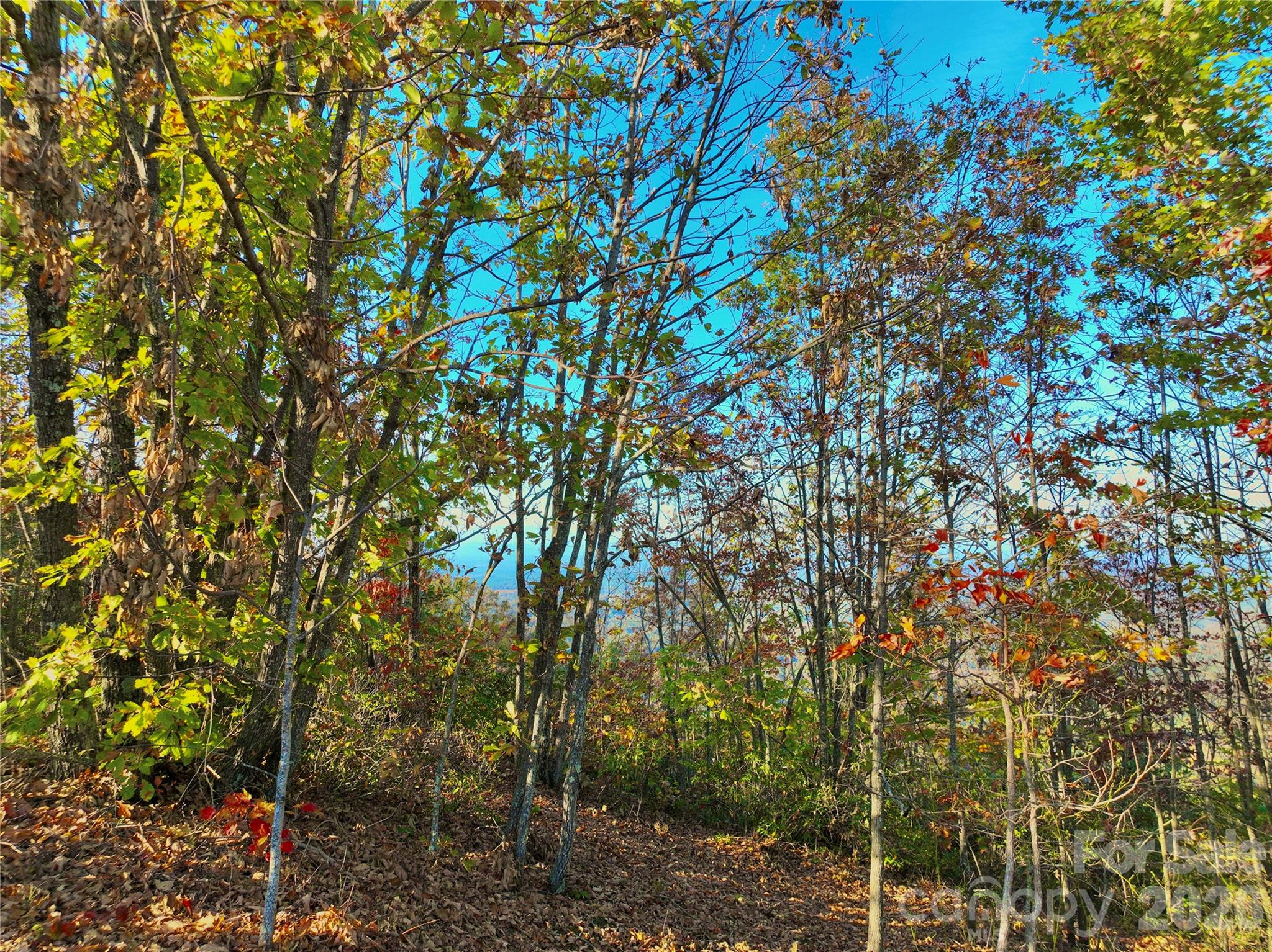 High Peak Mountain Estates - Land