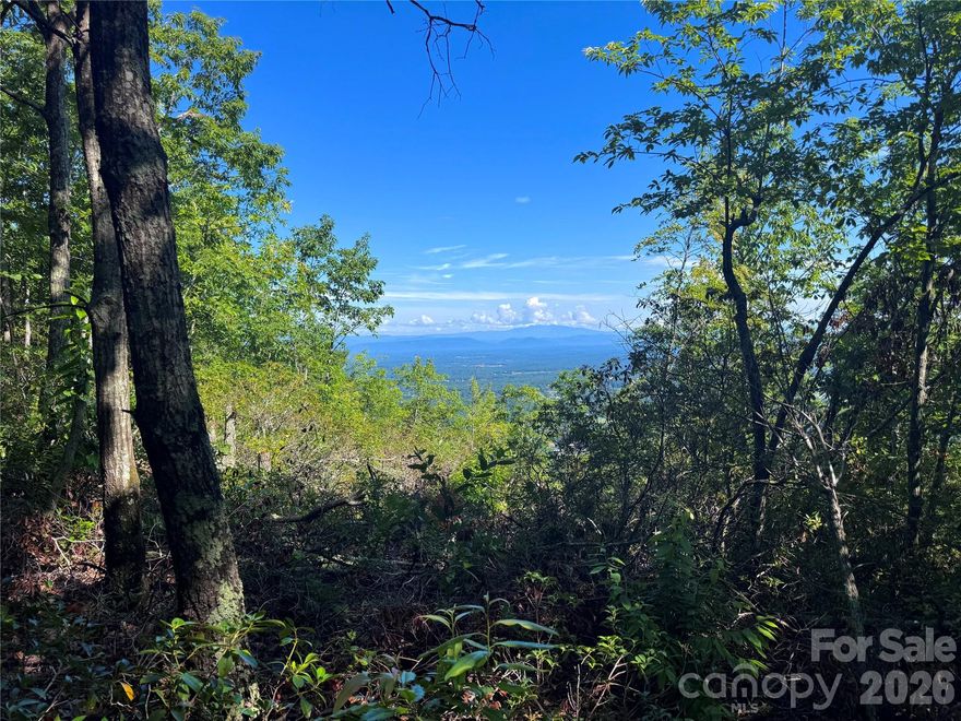 15 acres of INCREDIBLE LONG RANGE MOUNTAIN VIEWS featuring a STUNNING portrait of the Blue Ridge Horizon! Build your Retirement, Vacation, or Permanent home here in the prestigious gated community of High Peak Mountain Estates, and experience the dream of mountain living with the luxuries of dining, entertainment, and medical just minutes away. LOT 28A offers a place to build on top of the world, UNENDING LONG RANGE VIEWS, ability to subdivide, 310 feet of paved road frontage, and countless encounters with wildlife! Park near the agent sign closer to the right side of the property to take the very short trail to see the views and potentially the best building location. The short 5-mile drive to interstate places this prime destination in convenient proximity to the major cities of Charlotte and Asheville, while providing quick access to surrounding attractions such as Lake James, Lake Rhodhiss, Table Rock, Grandfather Mountain, Linville Gorge, Brown Mountain, Mt Mitchell and more! Come see for yourself why so many are choosing High Peak Mountain Estates as their preferred living destination in western NC!