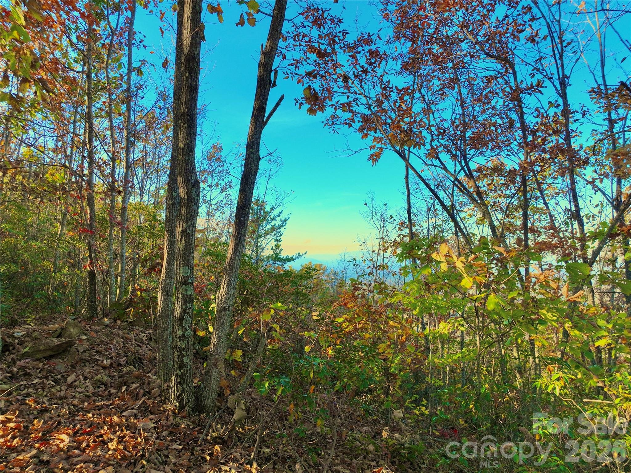 High Peak Mountain Estates - Land