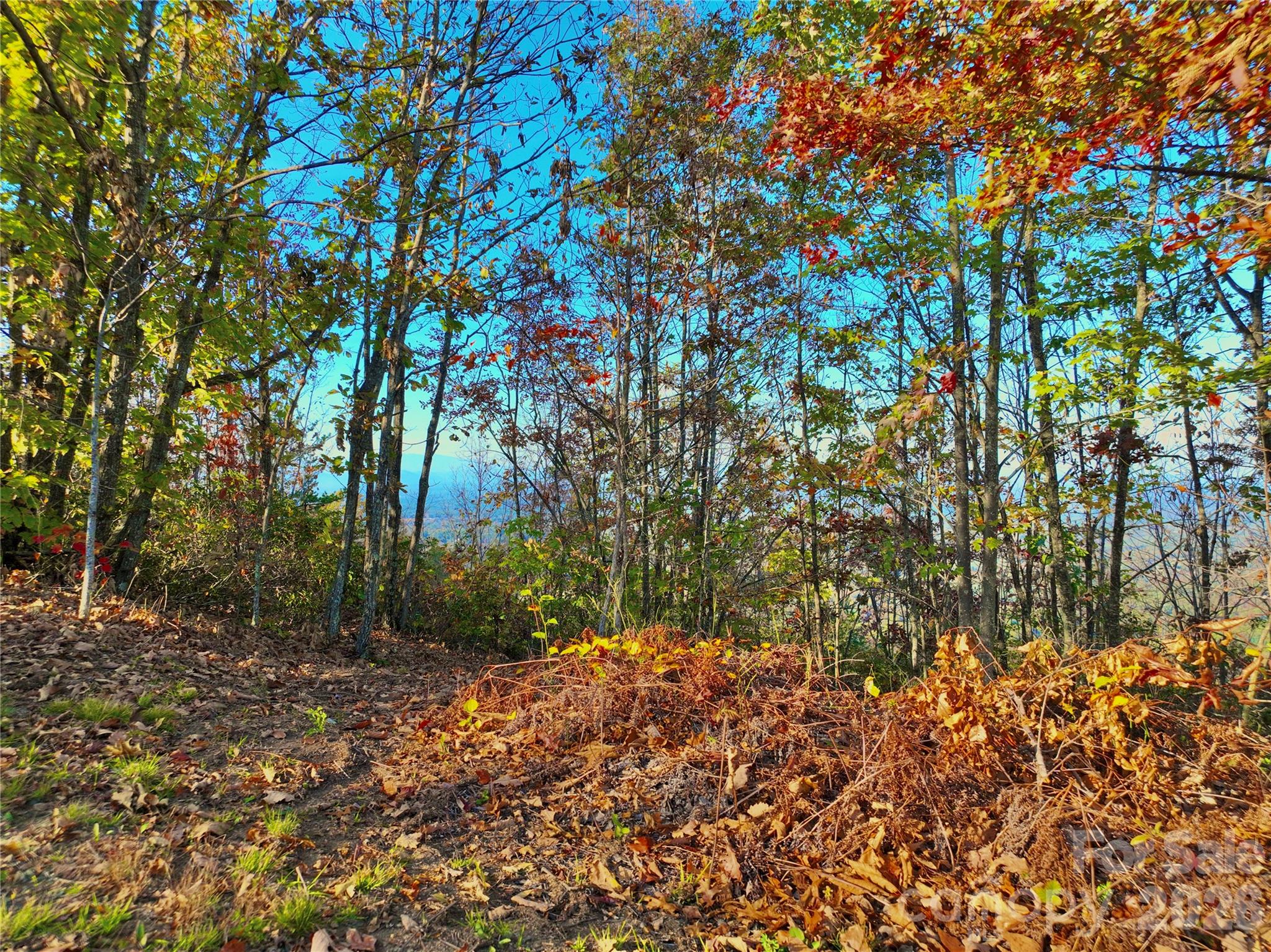 High Peak Mountain Estates - Land