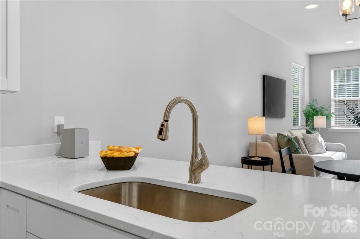 Lincoln Street Townhomes - Residential
