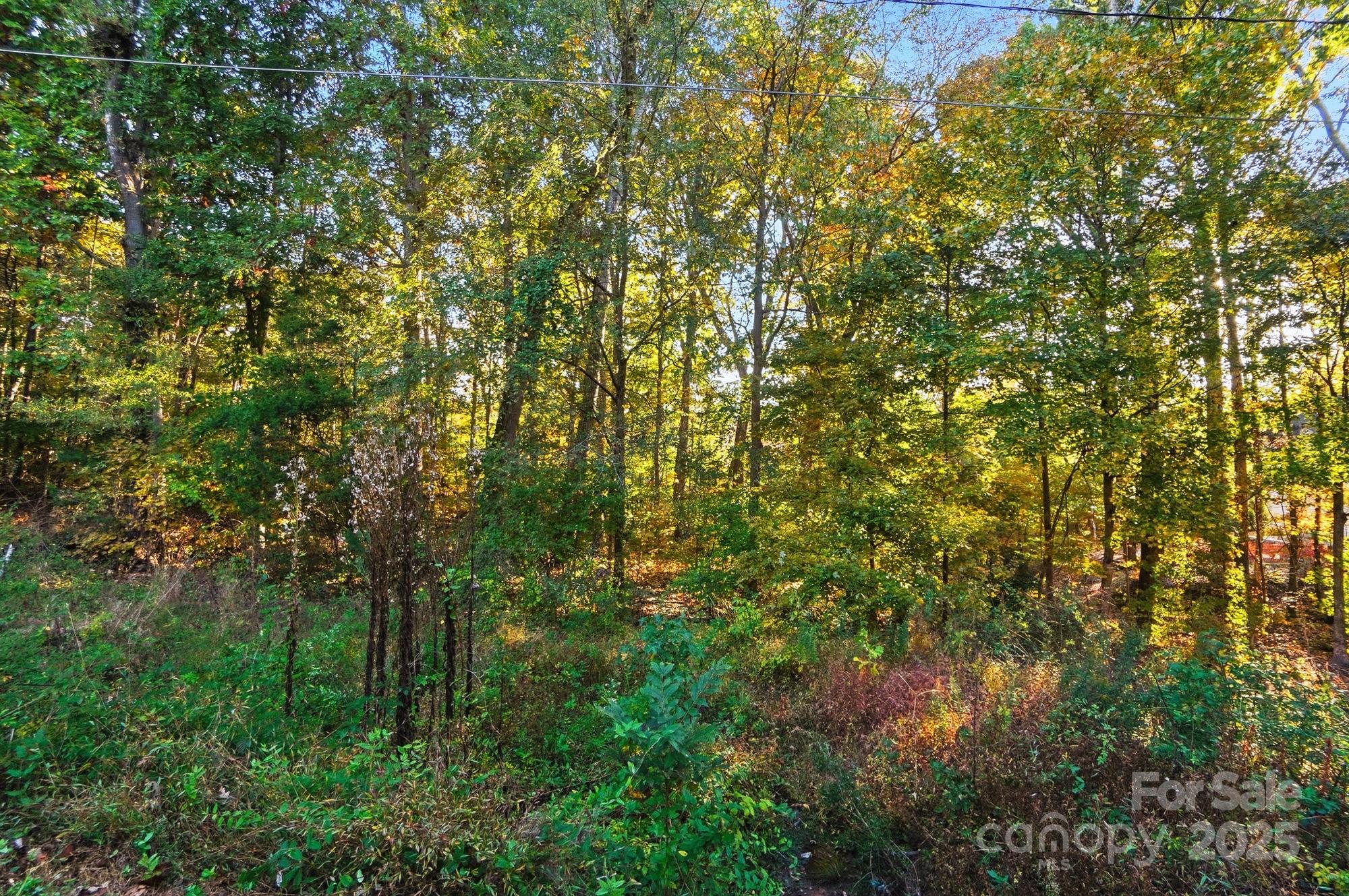 Spring Valley - Land