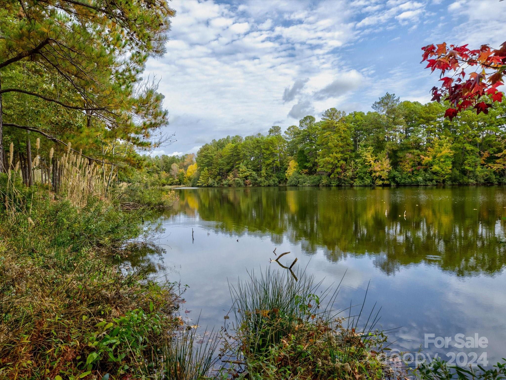 Sun City Carolina Lakes - Residential