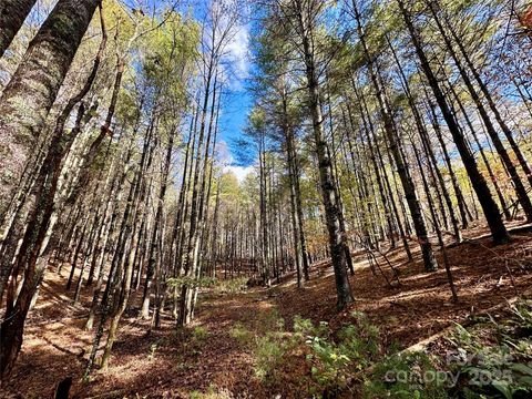 146 Bream Flats Drive 40 Nebo NC 28761