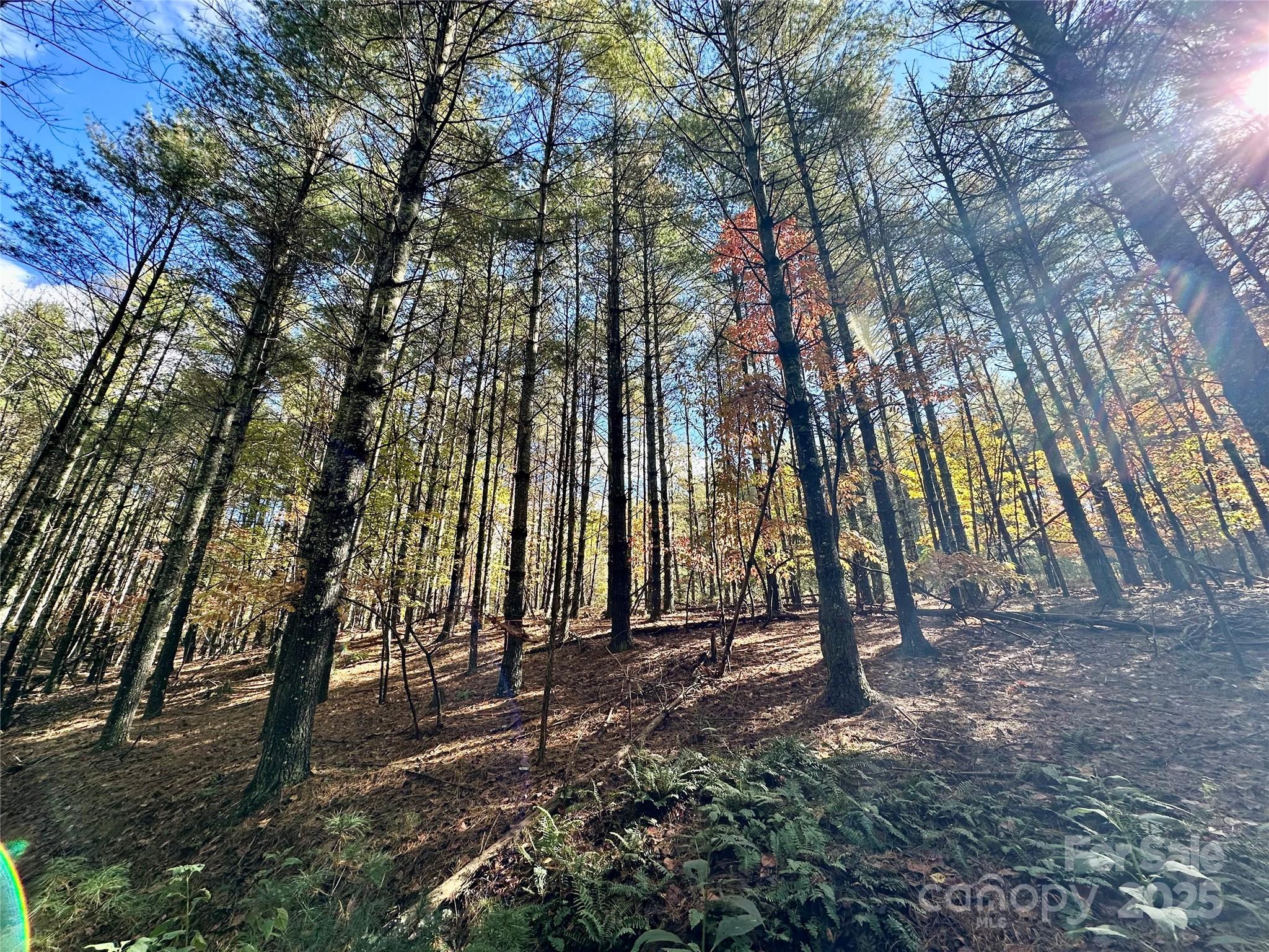 146 Bream Flats Drive 40