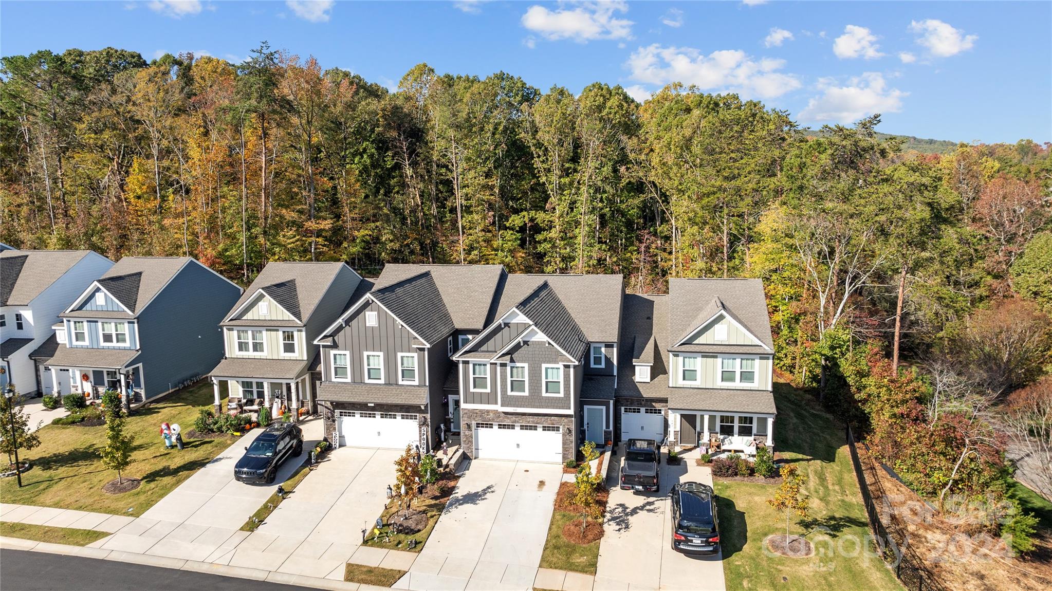 Colony at Handsmill - Residential