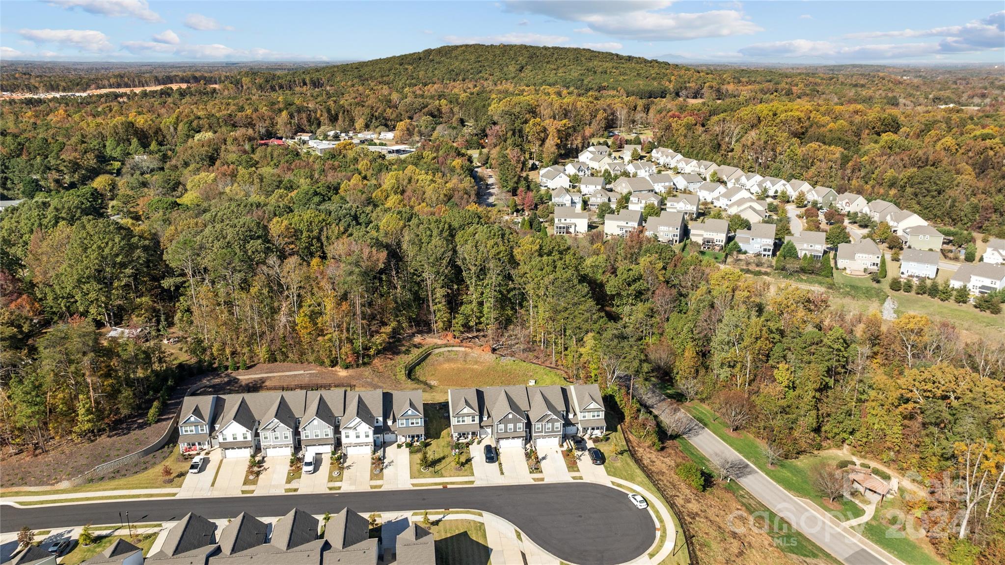 Colony at Handsmill - Residential