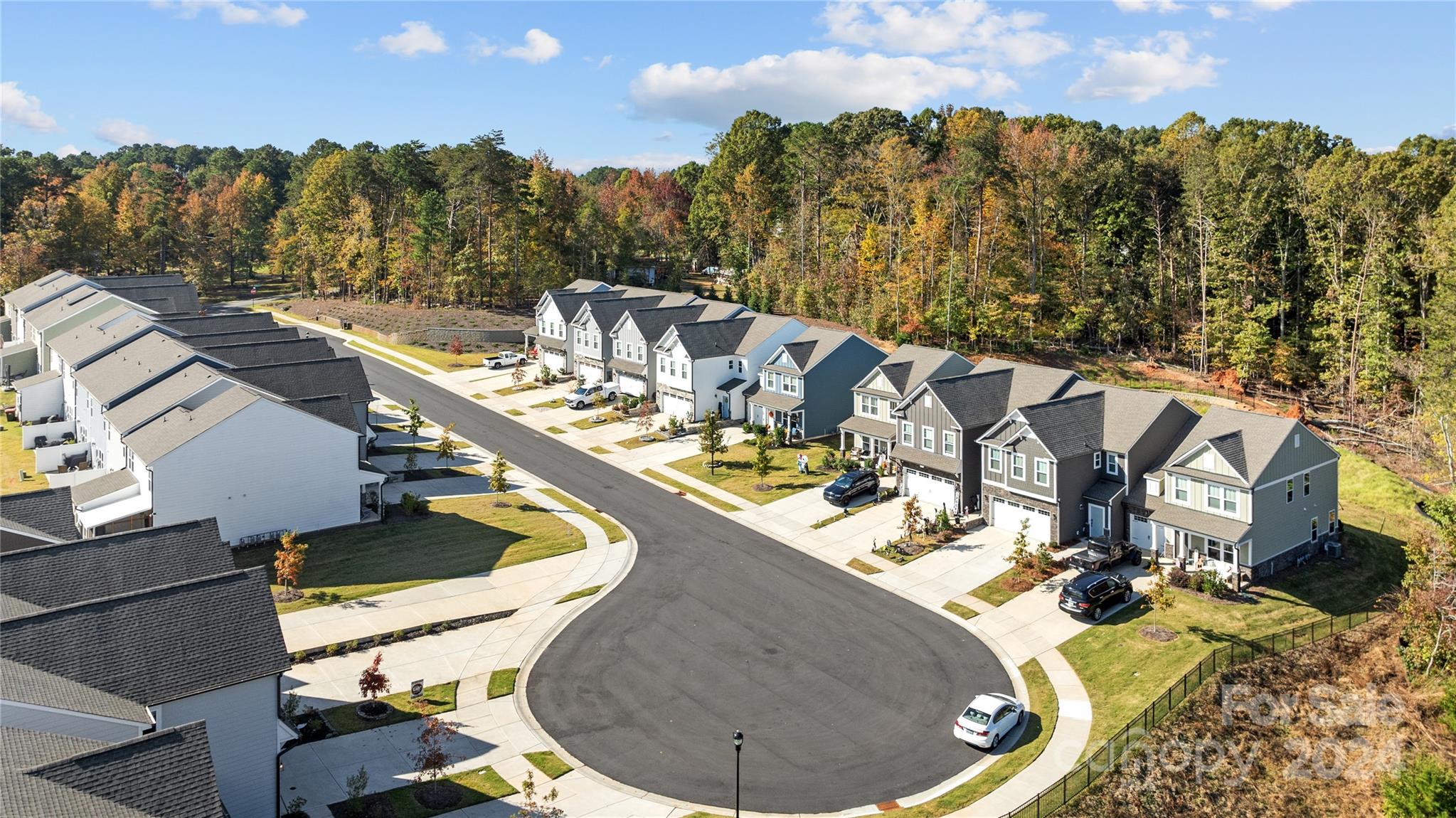 Colony at Handsmill - Residential