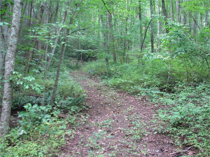 14.62 acres in Upper Hominy Valley in Candler. This Buncombe County land runs from the strong creek up the sloping mountain. This Bank owned property requires buyers to verify access and all desired uses.
