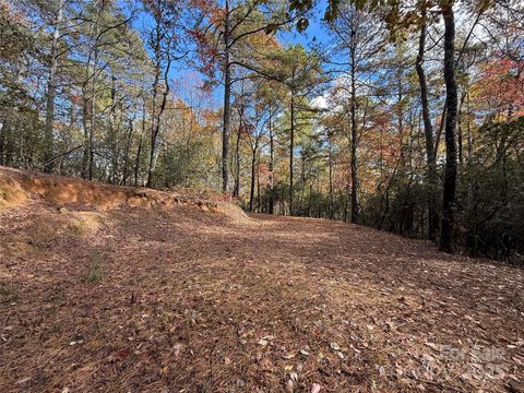 171 Duff Cove Road Brevard NC 28712