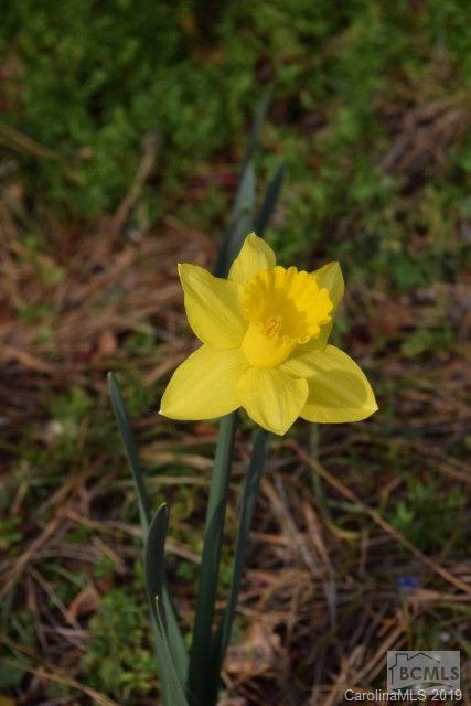 Morganton - Residential