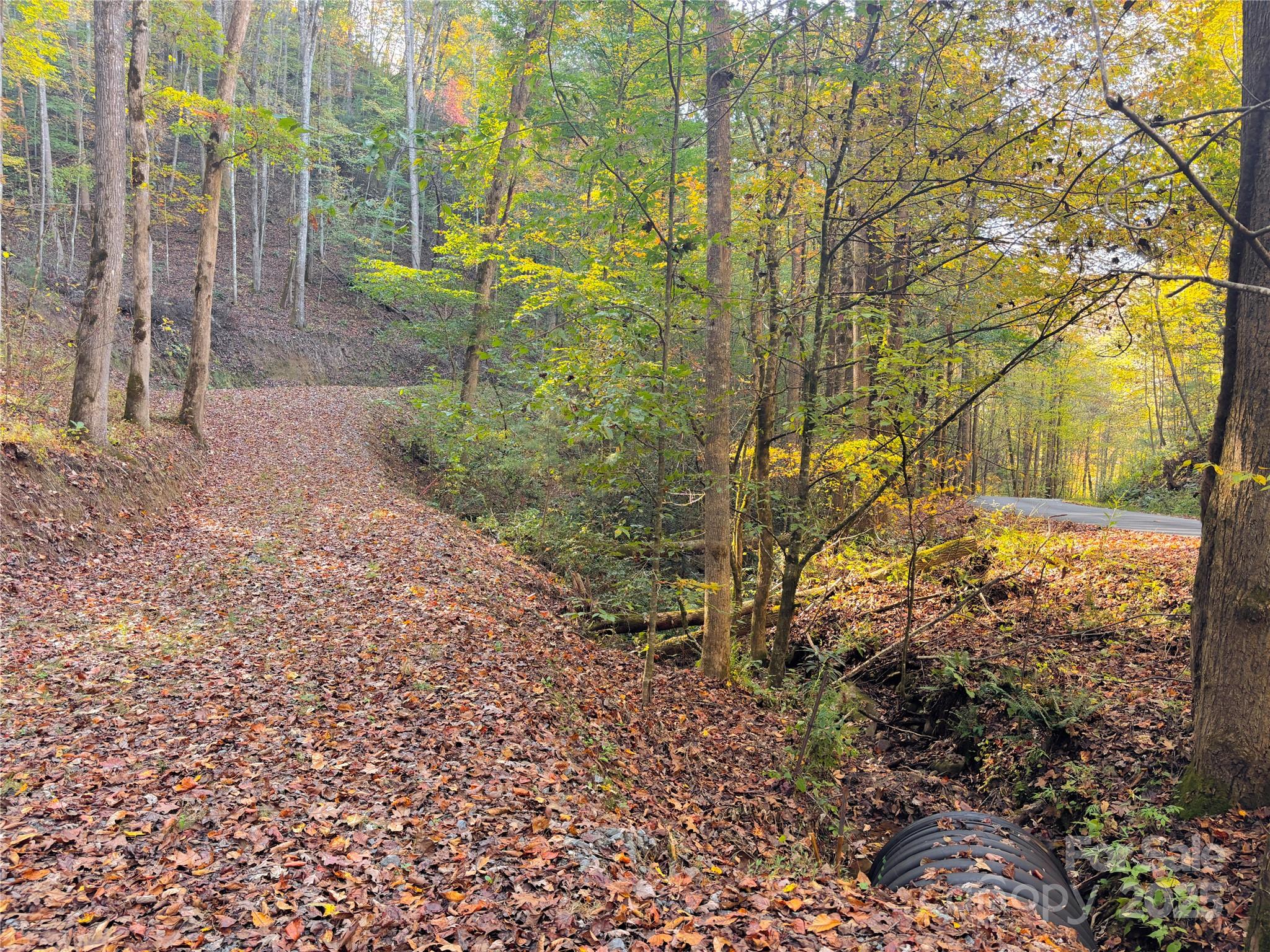 9999 Mountainside Drive