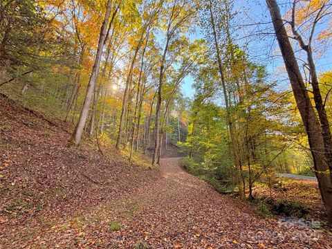 9999 Mountainside Drive Bryson City NC 28713