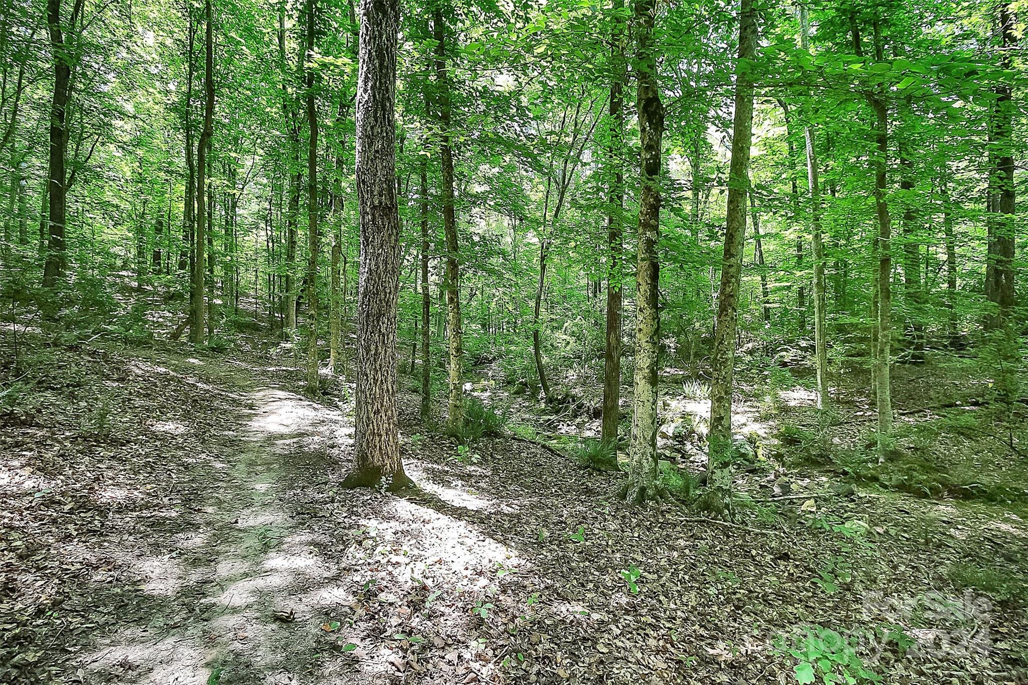 Clarendon Estates - Residential