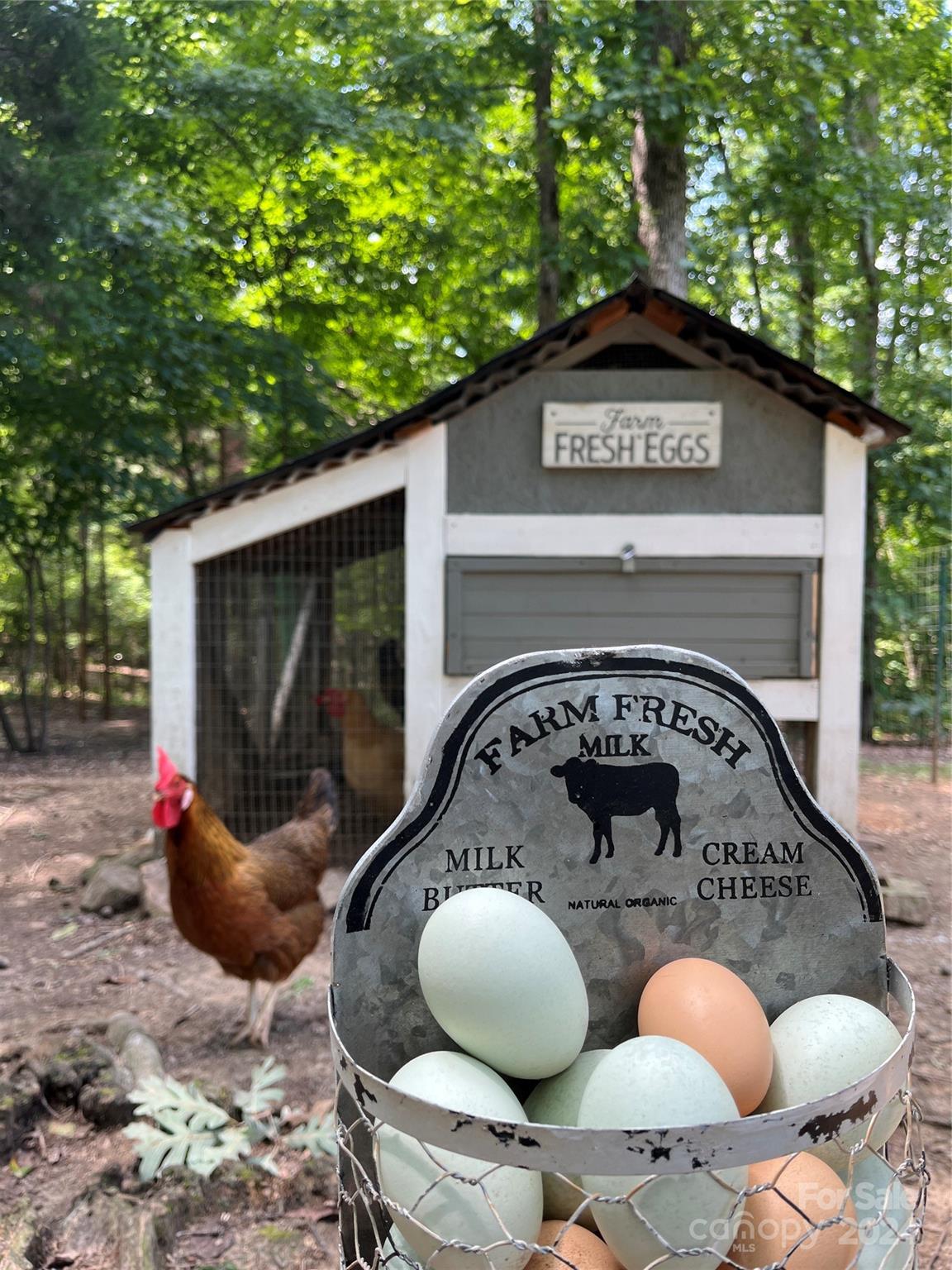 Clarendon Estates - Residential